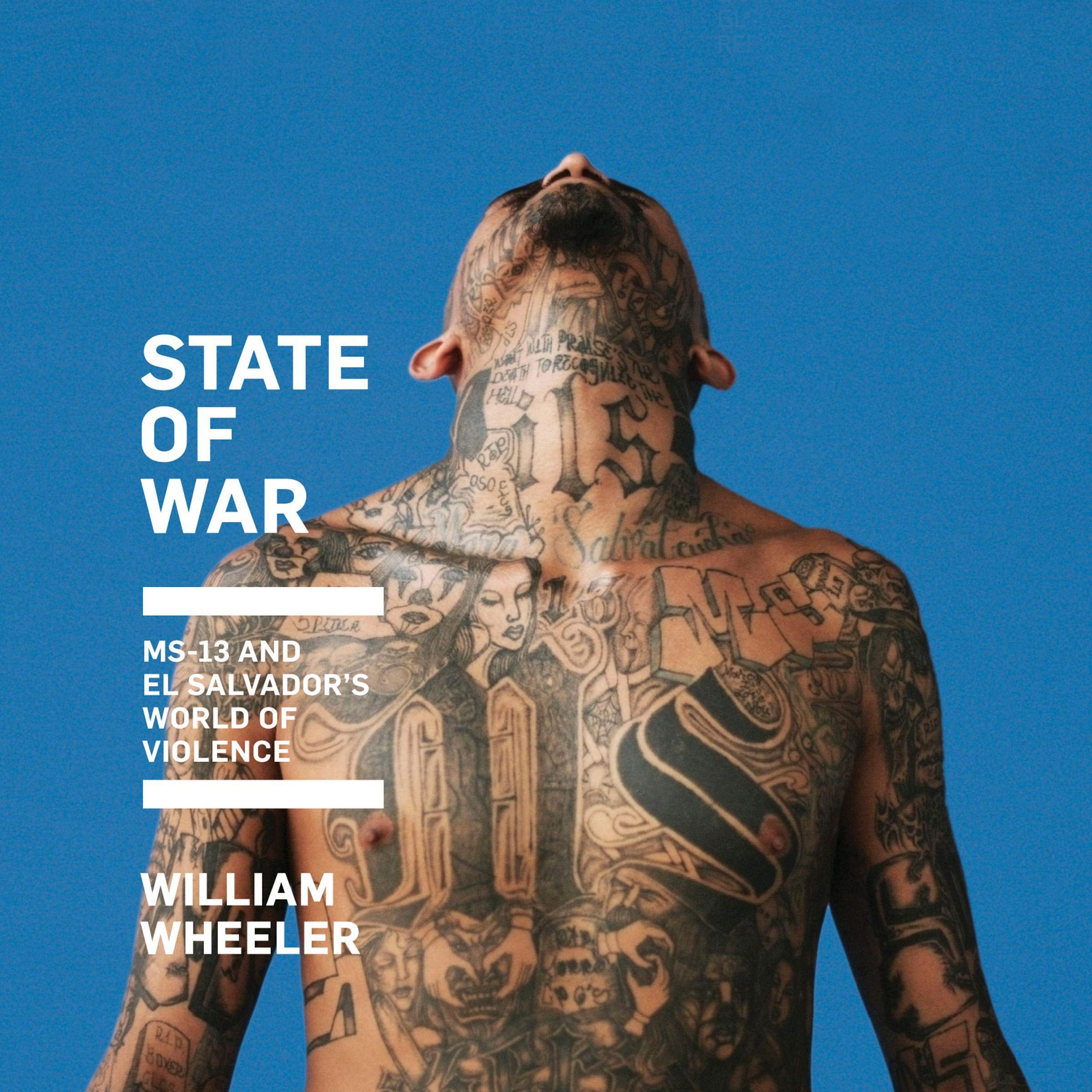 Cover art for State of War