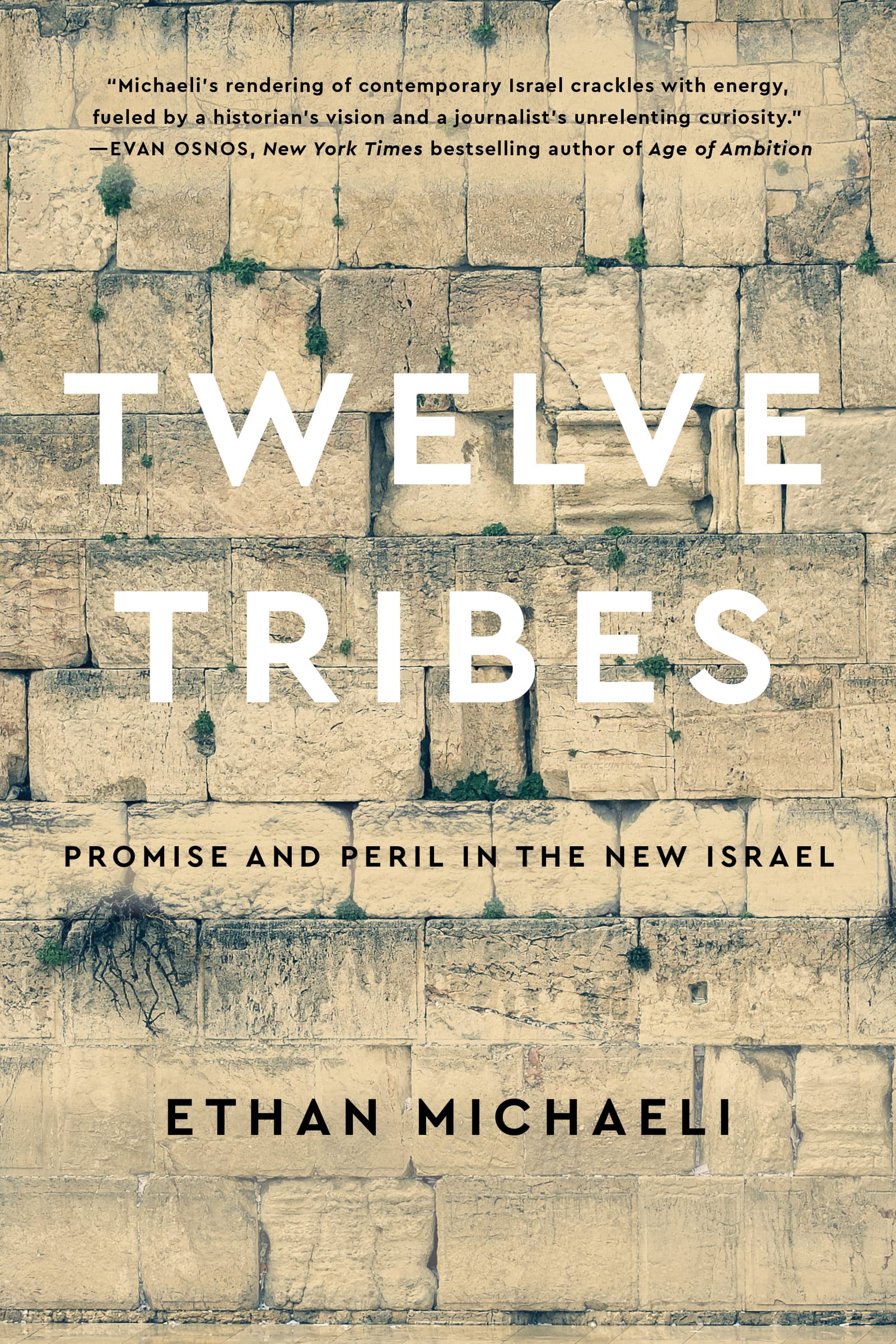 Buy Twelve Tribes: Promise and Peril in the New Israel — BookShops.in