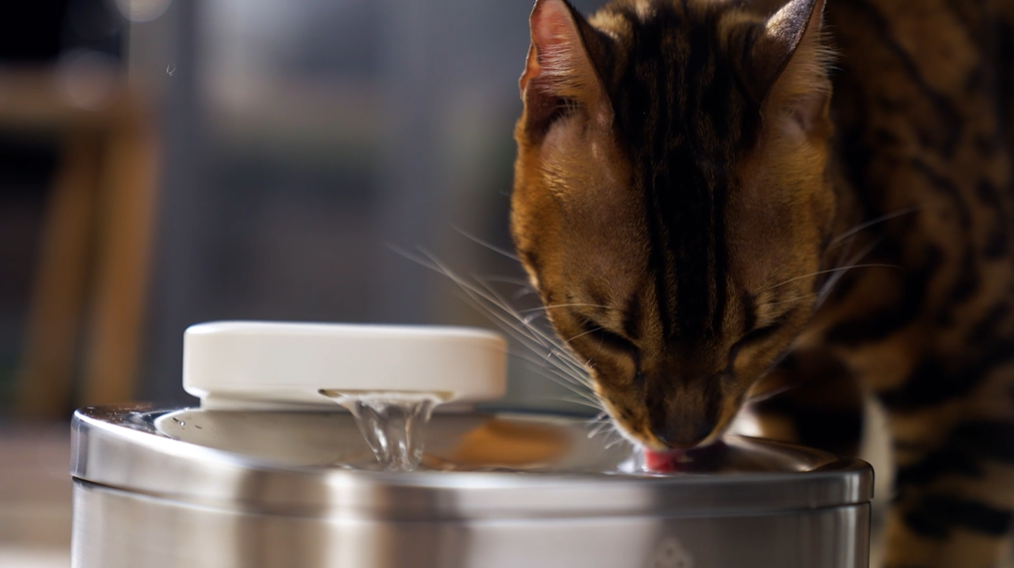 ♡大幅値下げ♡猫自動給水器 水飲み器 ポンプレス磁力給水 100%漏電なし 楽天市場】猫自動給水器 水飲み器 ポンプレス磁力給水 100%漏電