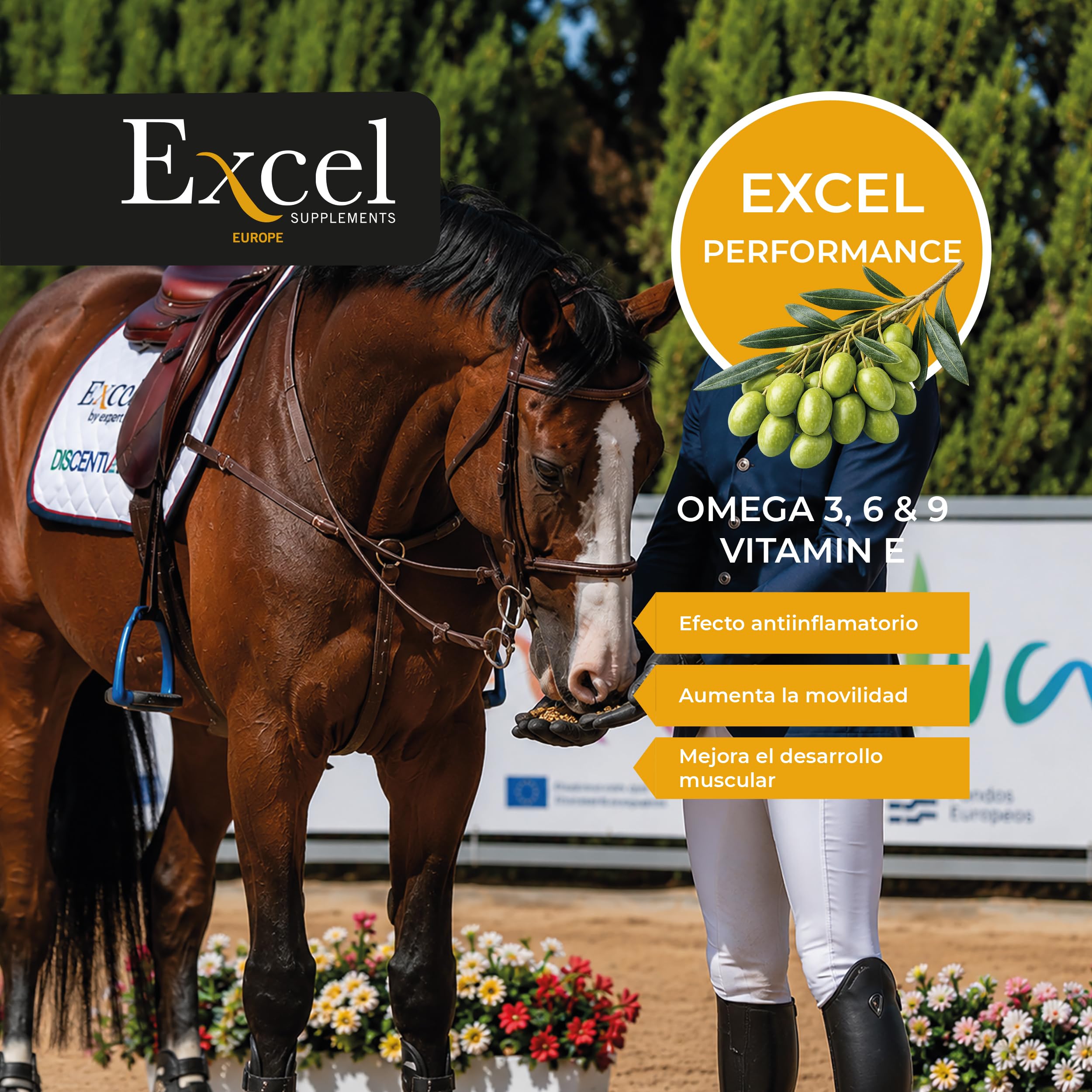 Excel SUPPLEMENTS ProElite | Suplemento de Aceite de Camelina |Caballos | Antioxidante | Antiinflamatorio | Natural 100% | Omegas 3, 6 y 9 | Desarrollo Muscular