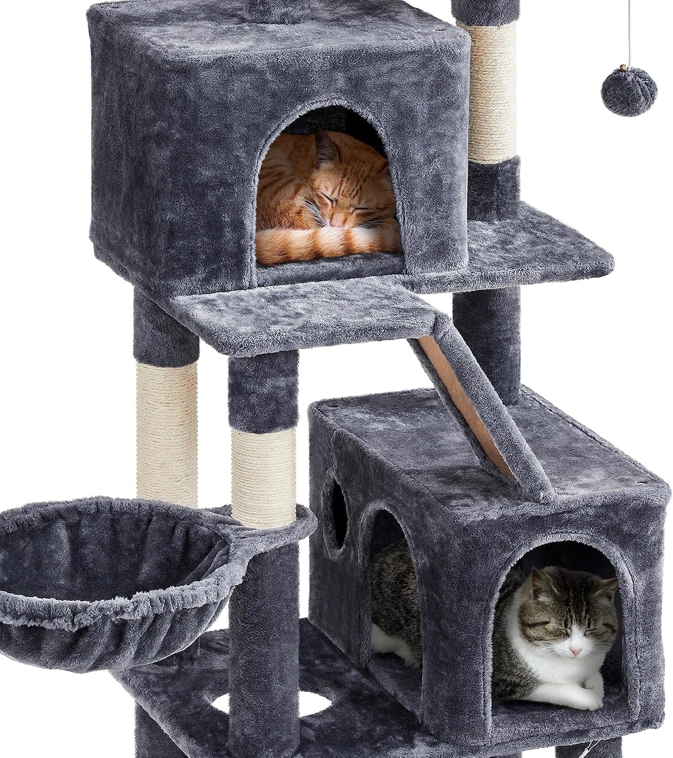 Two cats inside the cozy condos of the cat tree, illustrating their use as private resting spaces.