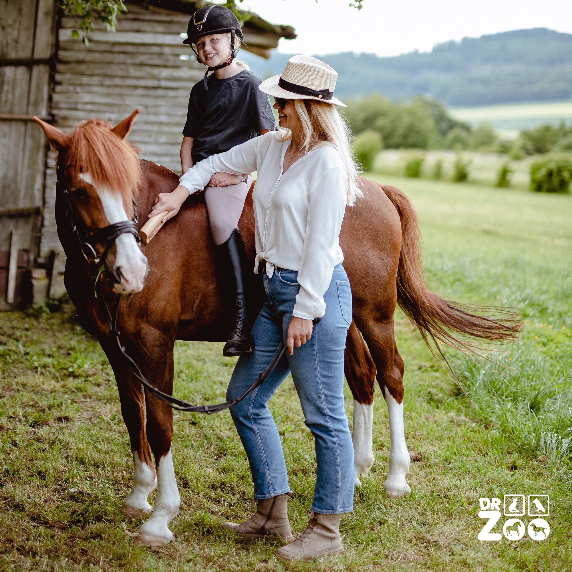 DR Zoo Rastrello per il tuo animale domestico - Varianti: cane, gatto, cavallo... (legno, L - per cavalli)