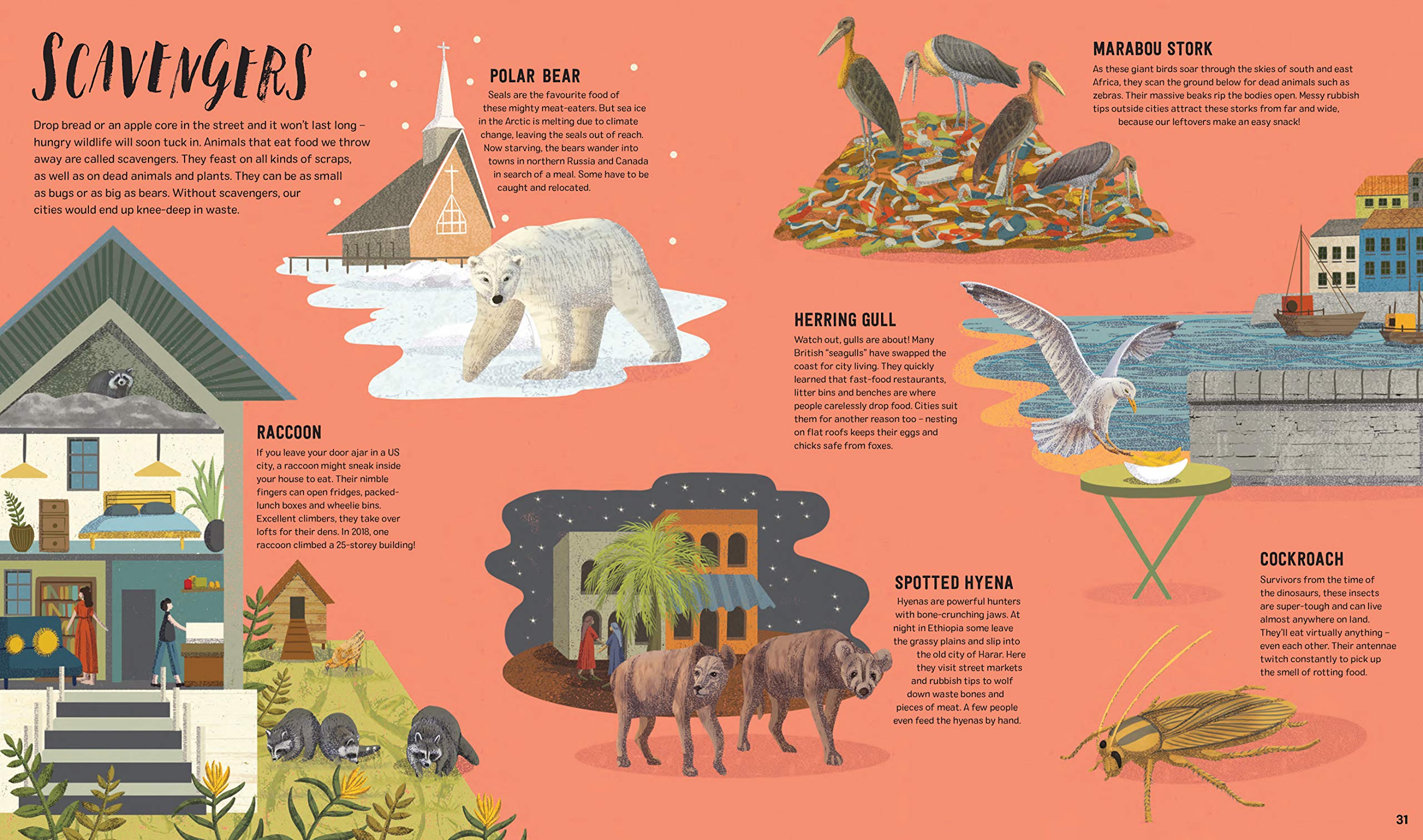 Wild City: Meet the animals who share our city spaces - Image 4