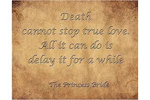 The Princess Bride: A Timeless Tale of Love and Adventure