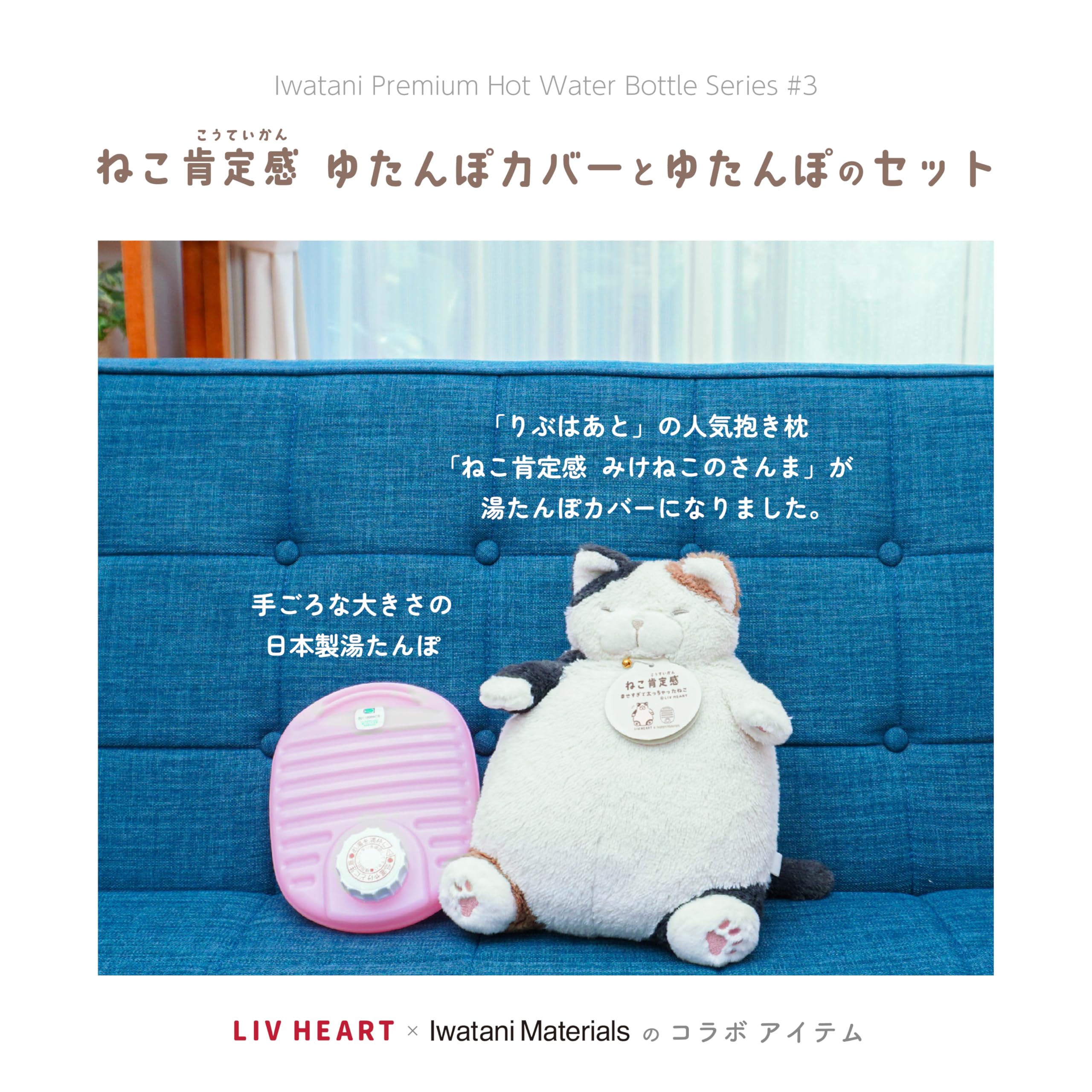 Amazon｜岩谷マテリアル ねこ肯定感 湯たんぽ カバーセット ぬいぐるみ