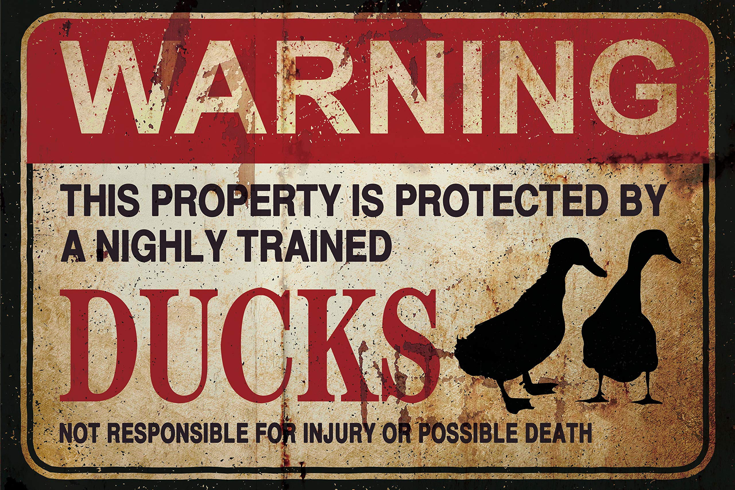 Vintage Metallschild 'This Property Is Protected By A Highly Trained Ducks' – 30,5x20,3 Cm, Witzige Garten-Deko