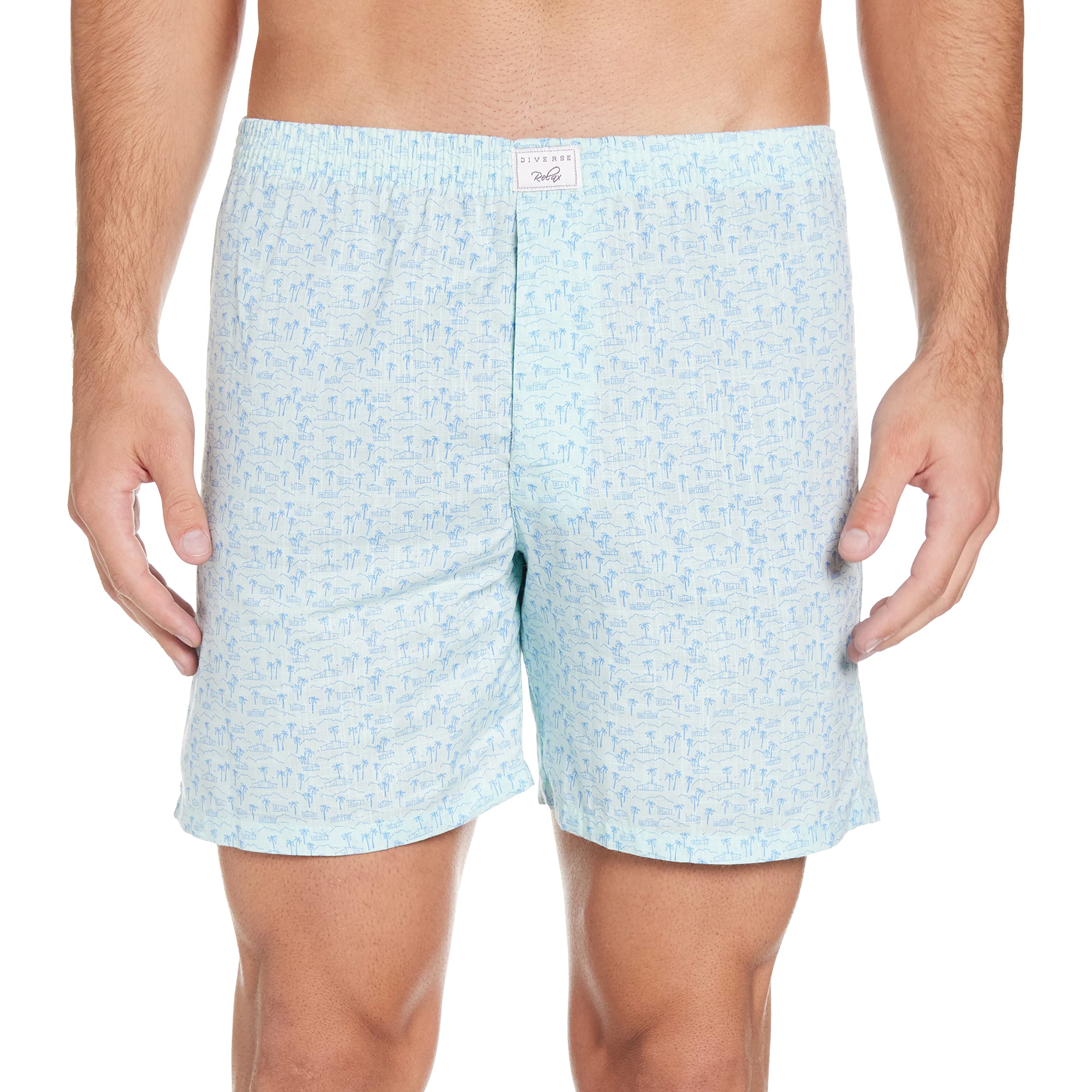 DiverseMen's Printed Boxers Pack of 2