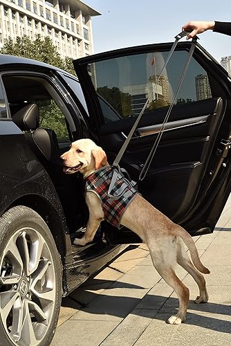 Miniatura 9 de ROZKITCH Arnés de elevación para perros, rejilla para el pecho de mascotas, ayuda aprobada por veterinarios para K9 antiguo, ayuda con poca