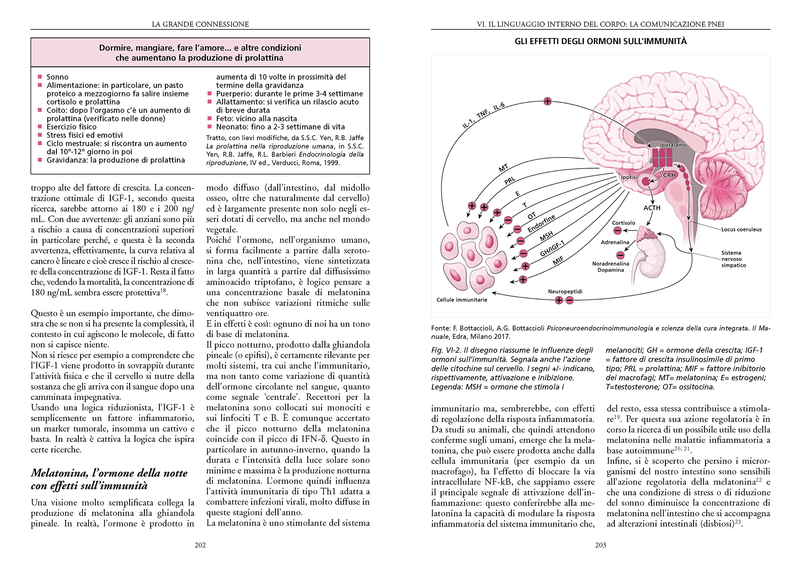 Fondamenti di psiconeuroendocrino immunologia. Introduzione alla scienza che studia le relazioni mente-corpo