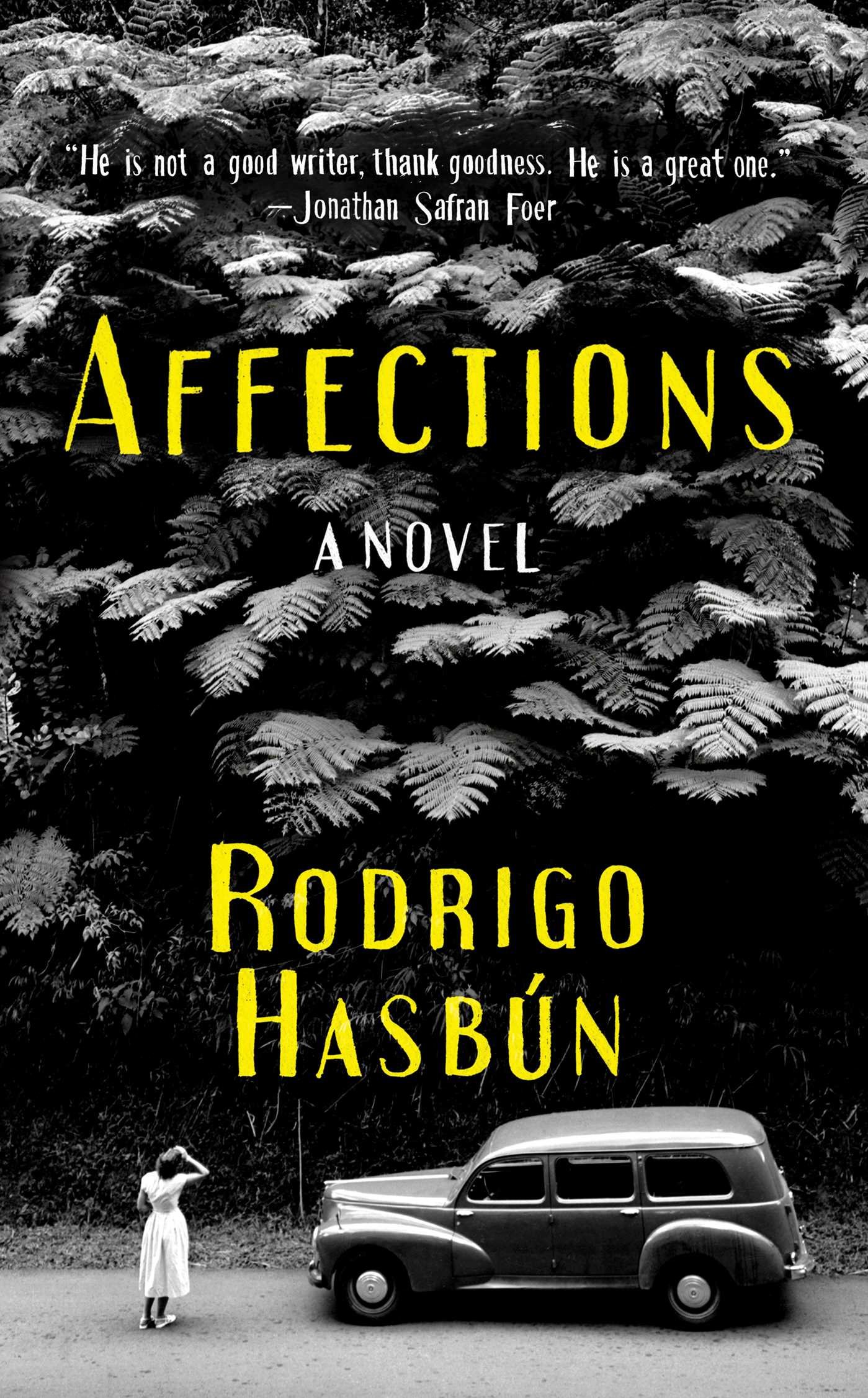 Affections: A Novel