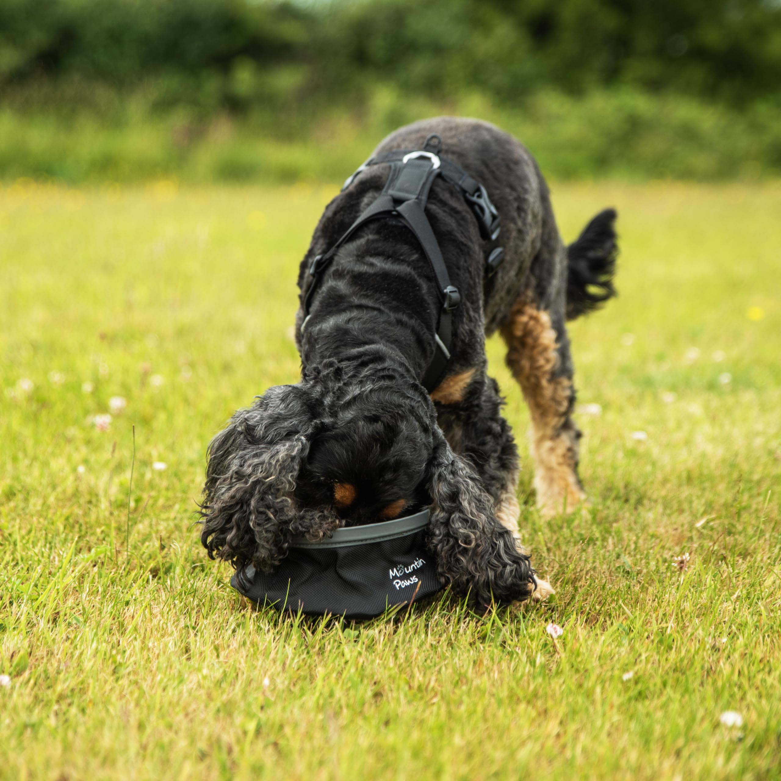 Mountain Paws Arnés de Perro de 3 Correas | para Adaptarse a tamaños de Pecho de 46 a 108 cm, con asa Central y Ribetes Reflectantes