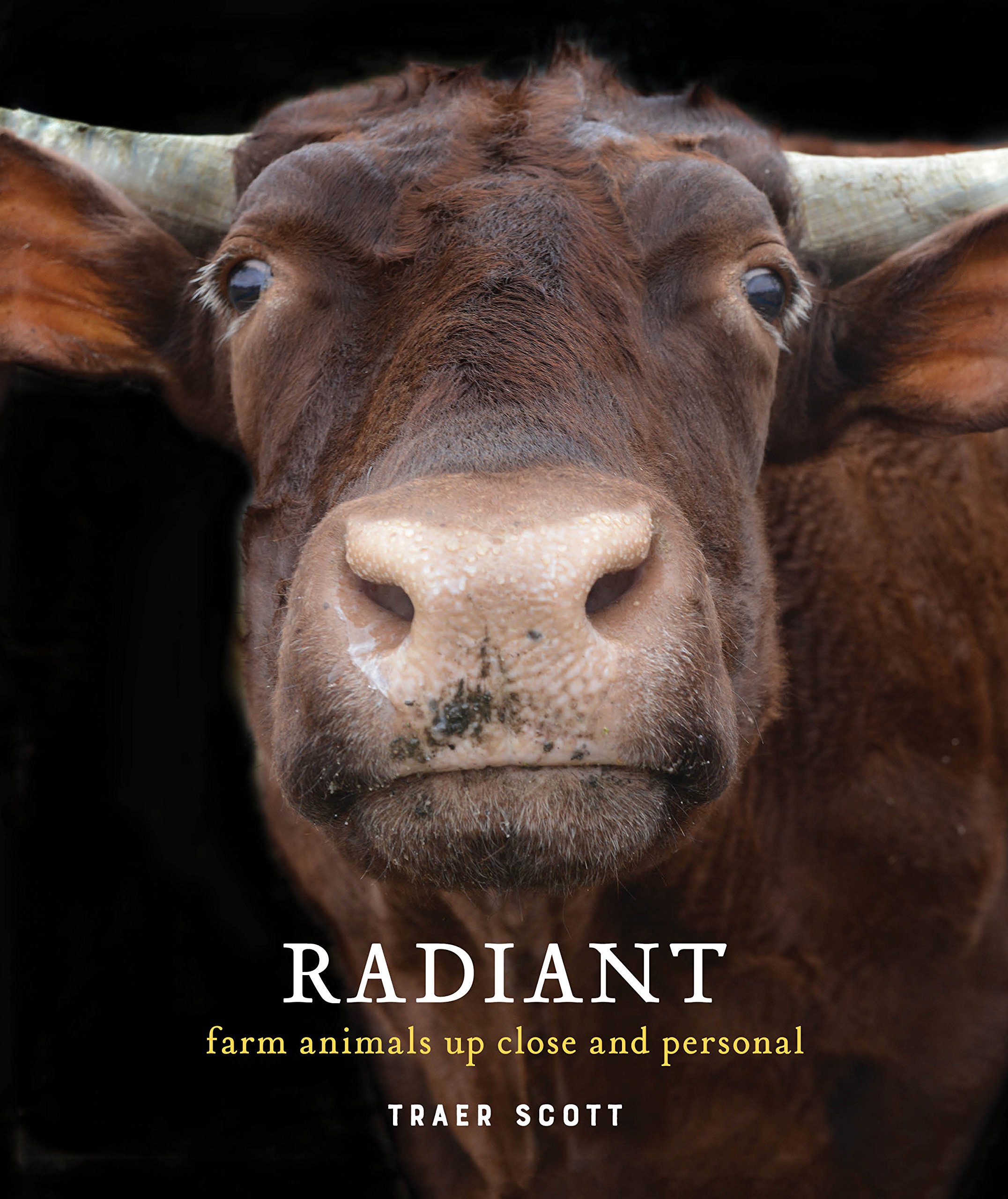 Radiant: Farm Animals Up Close and Personal Hardcover – September 18, 2018