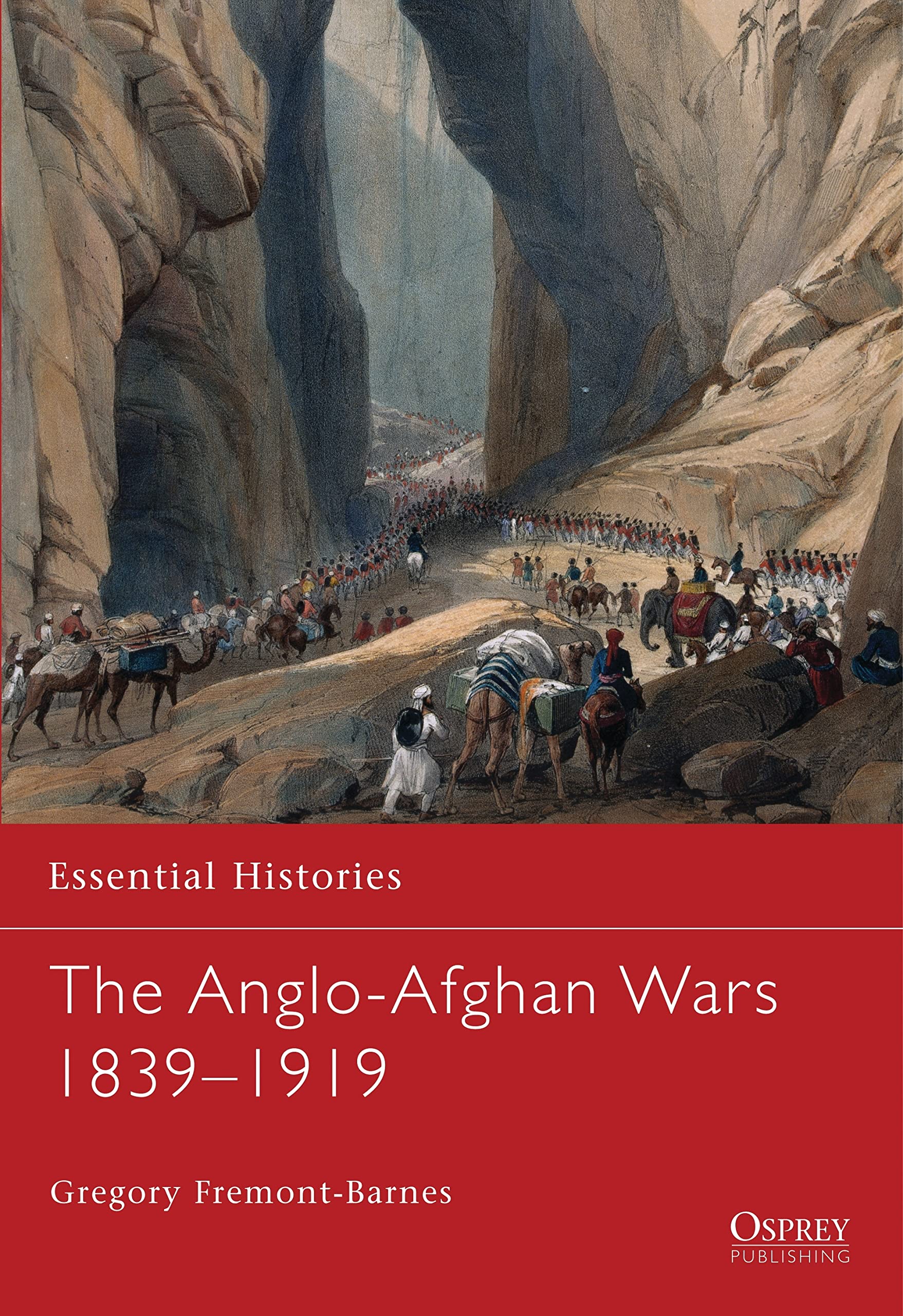 The Anglo-Afghan Wars 1839-1919: 40 (Essential Histories)