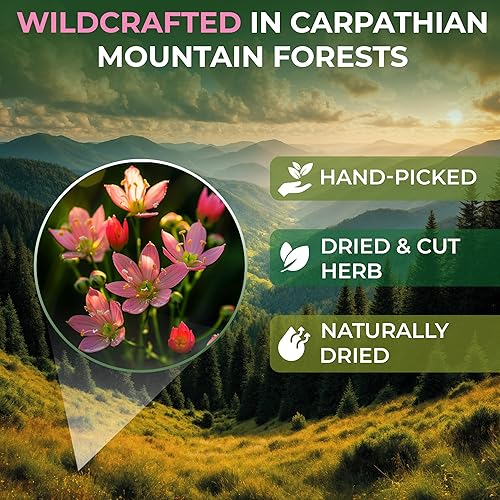 Miniatura 2 de 20 bolsas de té de hierbas centaury secas (Centaurii Herba) - 20 unidades de té de hierbas Centaurium Erythraea