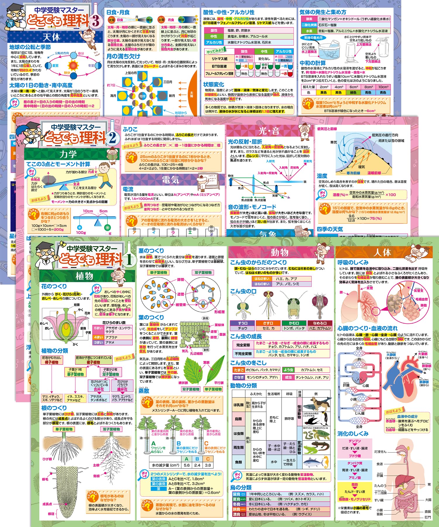 お風呂の学校 中学受験マスターどこでも理科 お風呂ポスター 3枚セット 日本製 中学受験に必要な理科まとめ B3サイズ 学習 知育 防水
