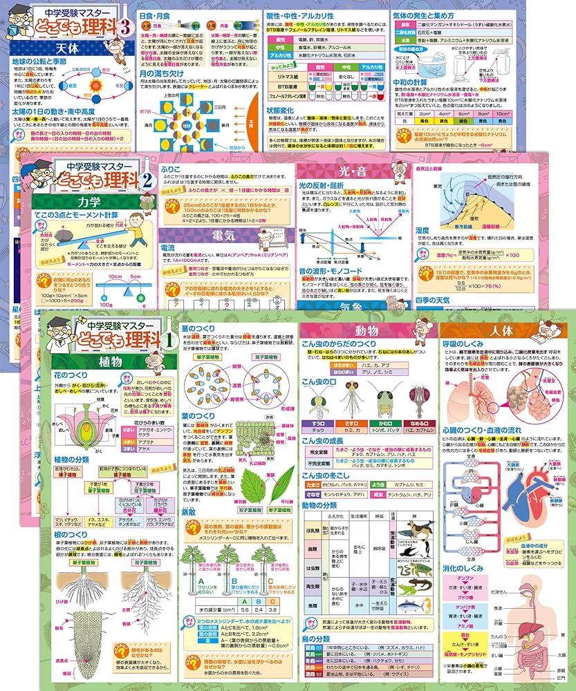 中学受験 国語＆理科 暗記カード【MX028】 中学受験 国語＆理科 暗記カード【MX028】 中学受験 国語＆理科