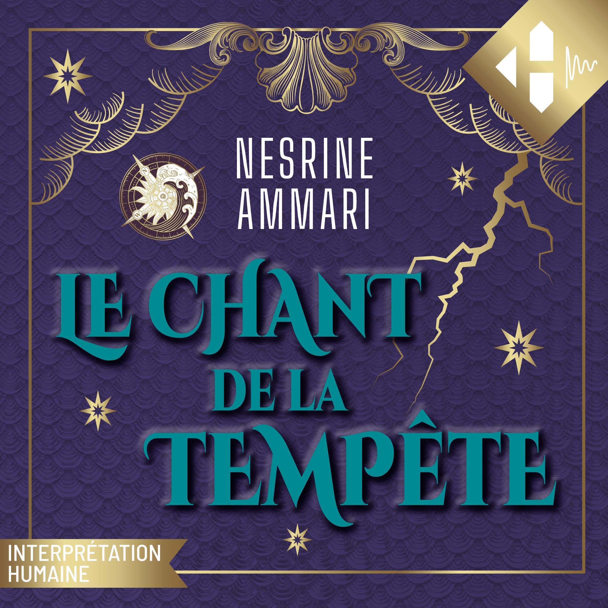 Cover art for Le chant de la tempête
