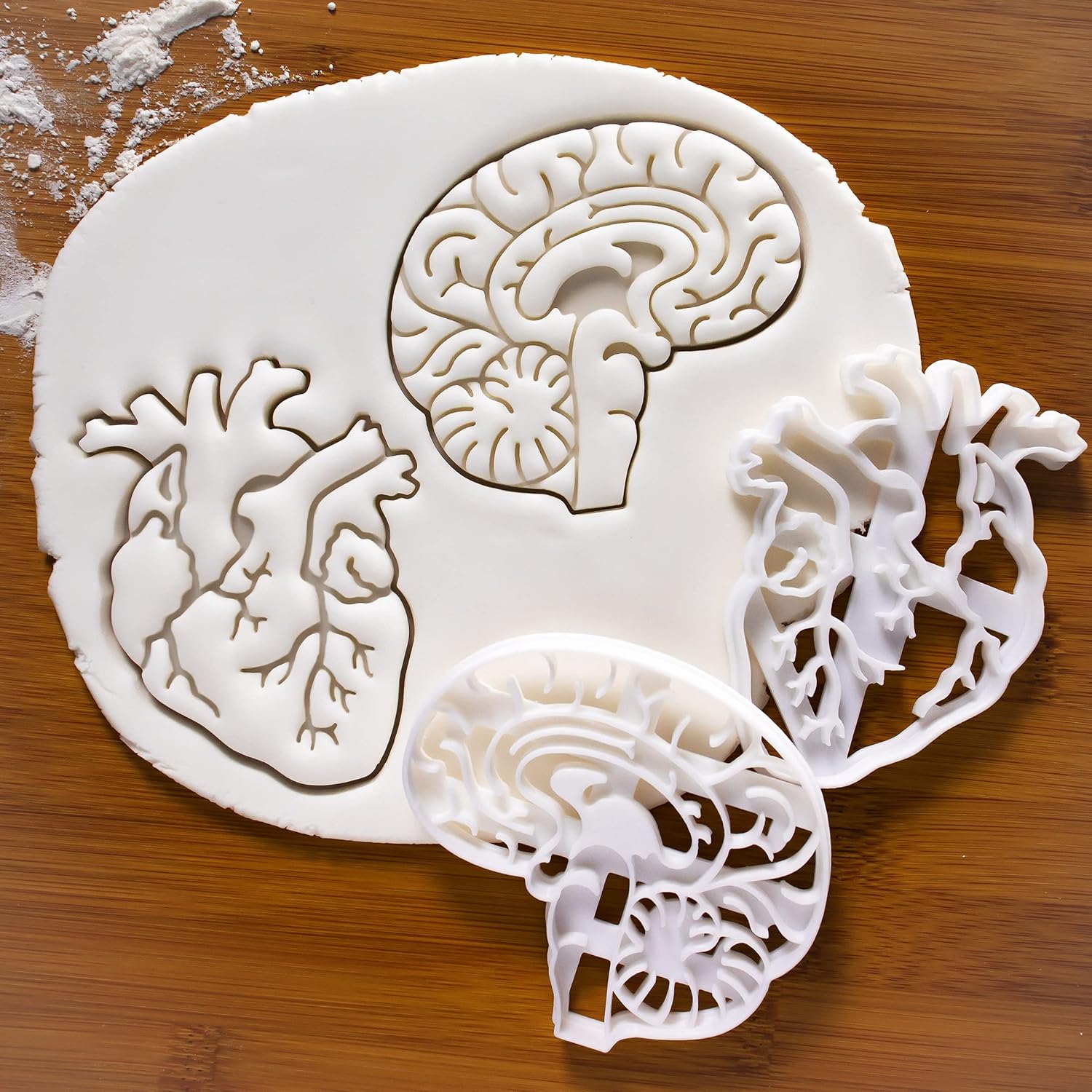 Set of 2 Anatomical Heart and Brain cookie cutters (Designs: Anatomical Brain and Heart), 2 pieces - Bakerlogy