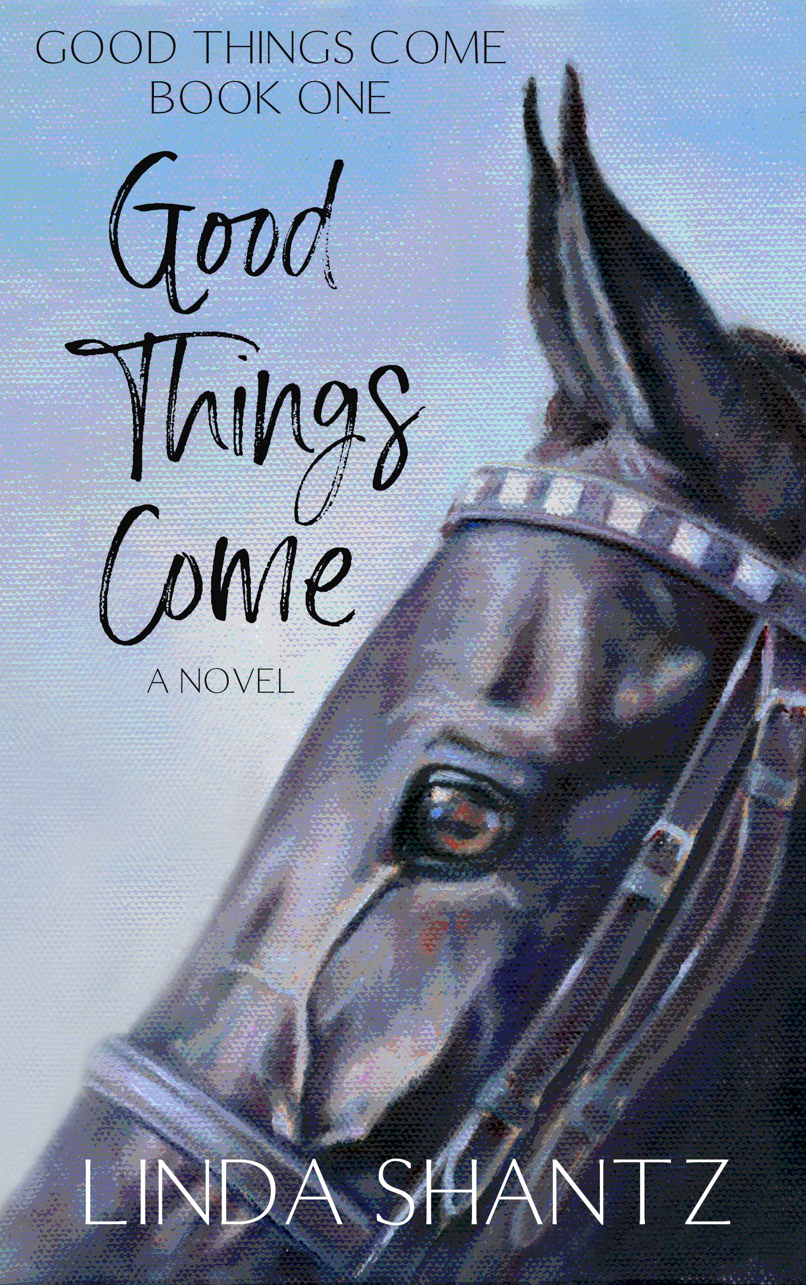 Good Things Come: A Slow-Burn Horse Racing Drama (Good Things Come Book 1)