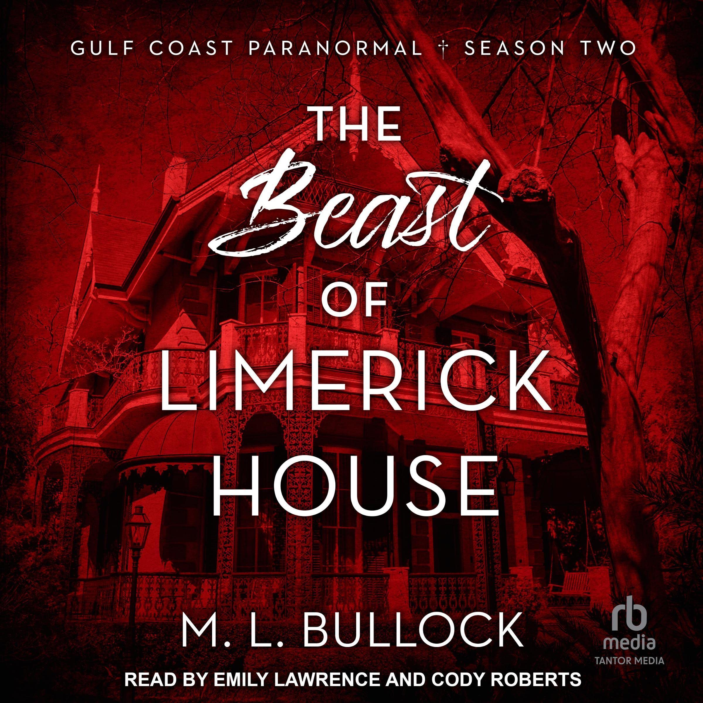 Cover art for The Beast of Limerick House
