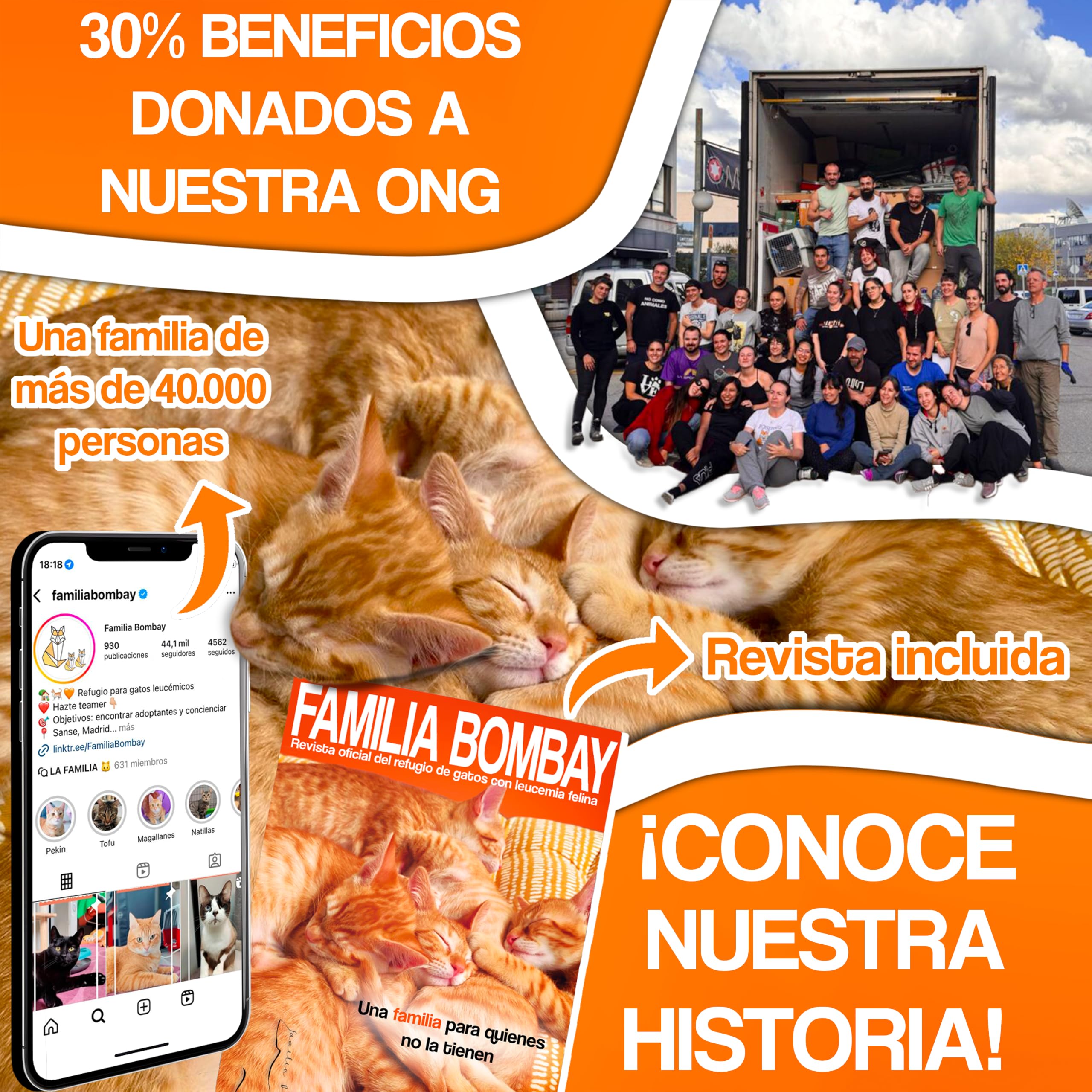 Arenero Automatico Familia Bombay - Arenero Gatos Autolimpiable - Caixa de Areia para Gatos Automatico - Arenero Electrico - Automatic Cat Litter Box Cleaning - ONG contra la Leucemia - Inteligente
