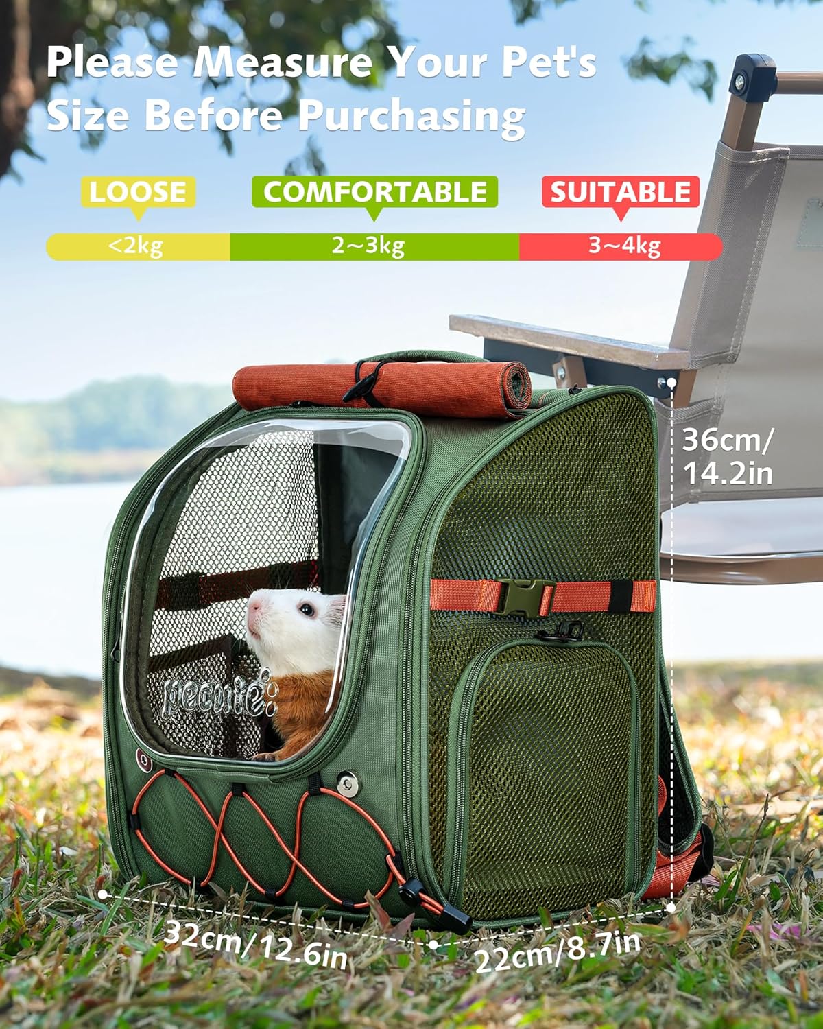 Pecute Small Pet Carrier, Breathable Guinea Pig Carrier with Transparent Bubble & Steel Frame, Safety Lock for Hamster, Rabbit, Bearded Dragon, Lizard, Ideal for Hiking, Vet Visits, Camping, Green