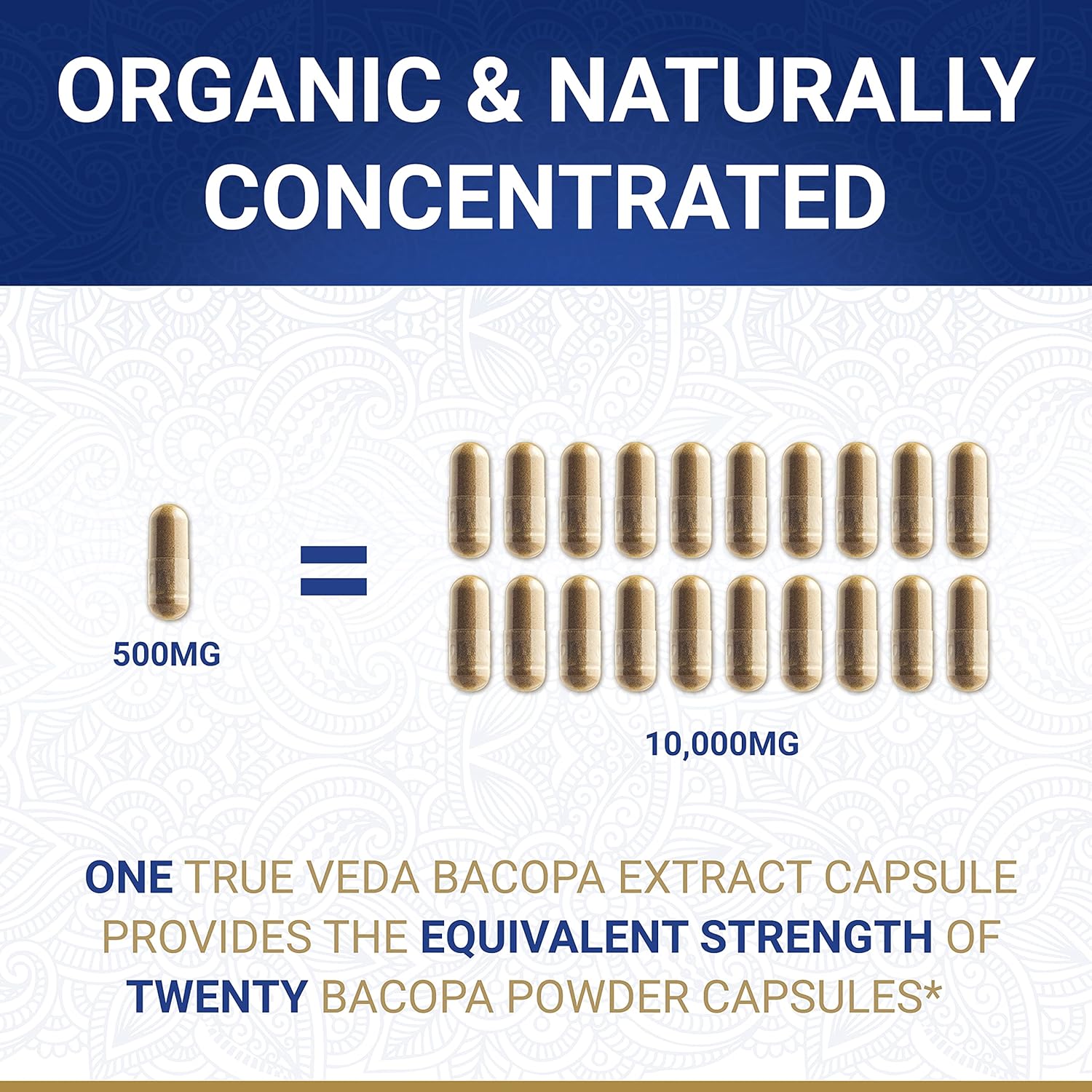 True Veda Organic Bacopa Monnieri Supplement | Premium Bacopa Extract | USDA Certified Organic Brahmi Capsules with 50% Bacosides | 20X Concentrated Brahmi Supplements | 60 Monnieri Veggie Capsules - Image 3
