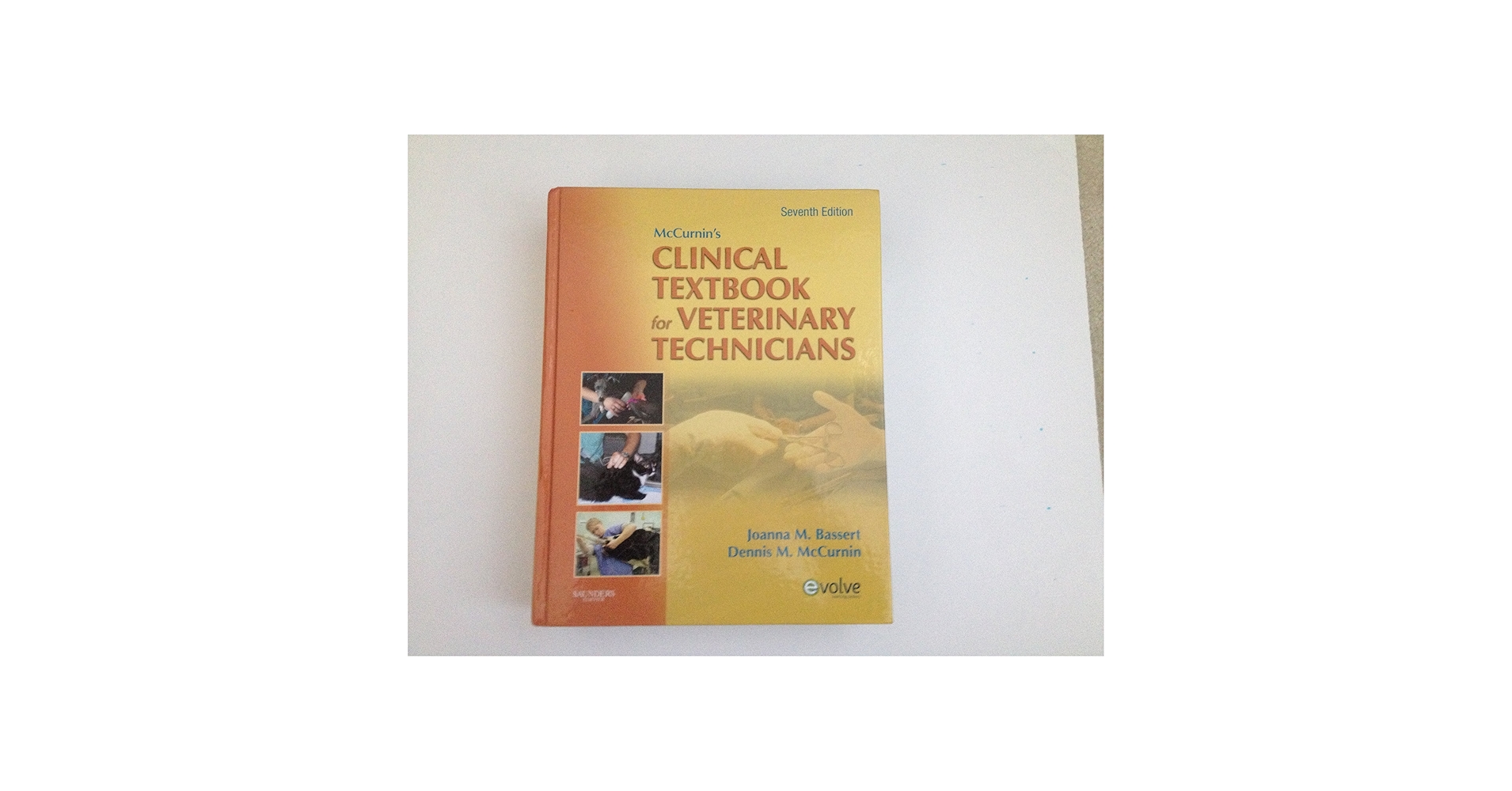 動物看護学 ANIMAL NURSING hqdefault.jpg