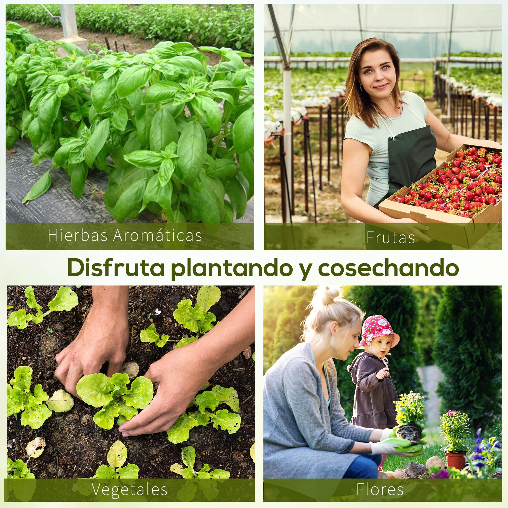 Outsunny Invernadero de Túnel 800x300x200 cm con 12 Ventanas y Puerta Enrollable Cubierta PE 140 g/m² y Acero para Cultivo de Plantas Verduras Verde