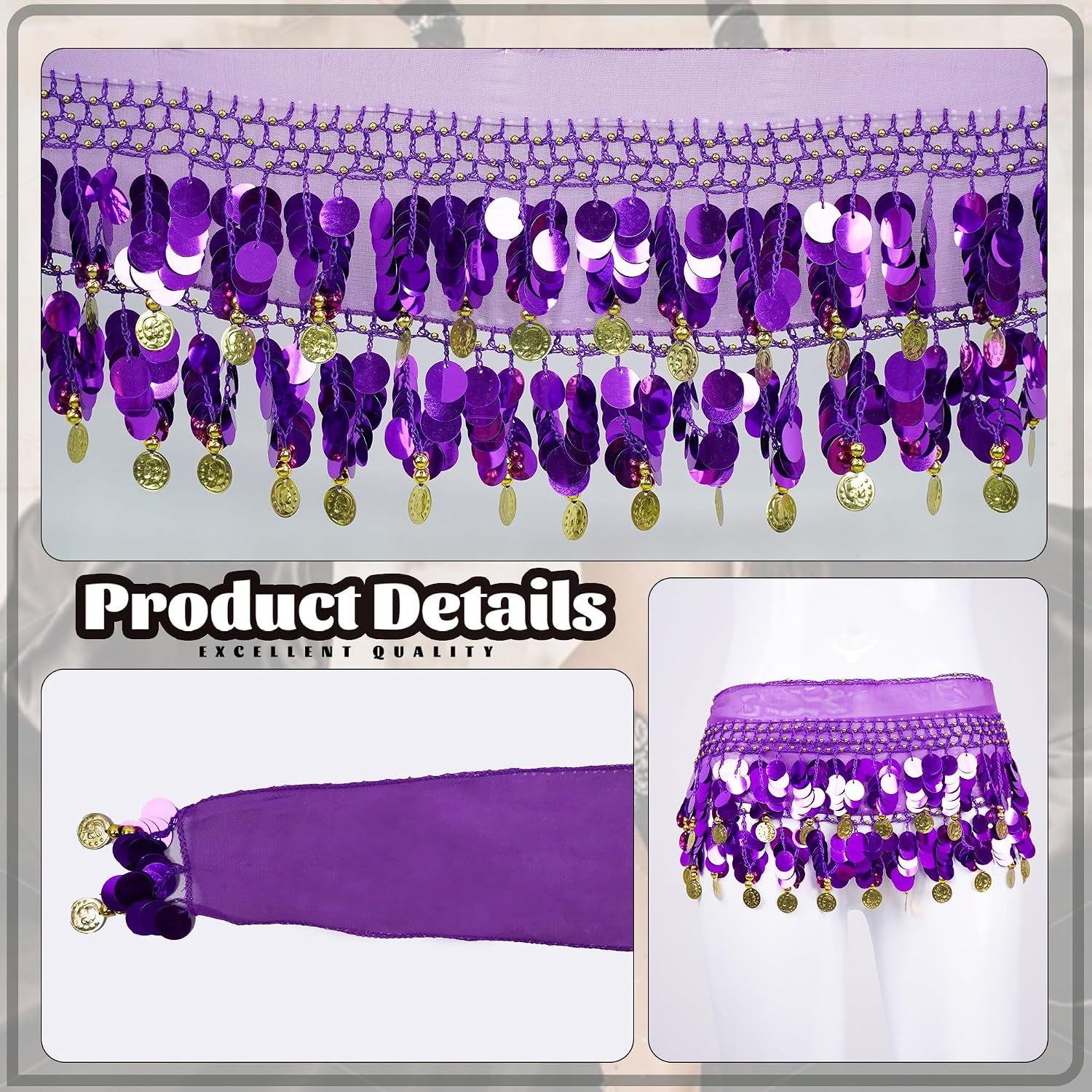 Baisdan Belly Dance Skirt, Belly Dance Hip Scarf with Coins, Dancer Outfit for Women, Halloween Costume