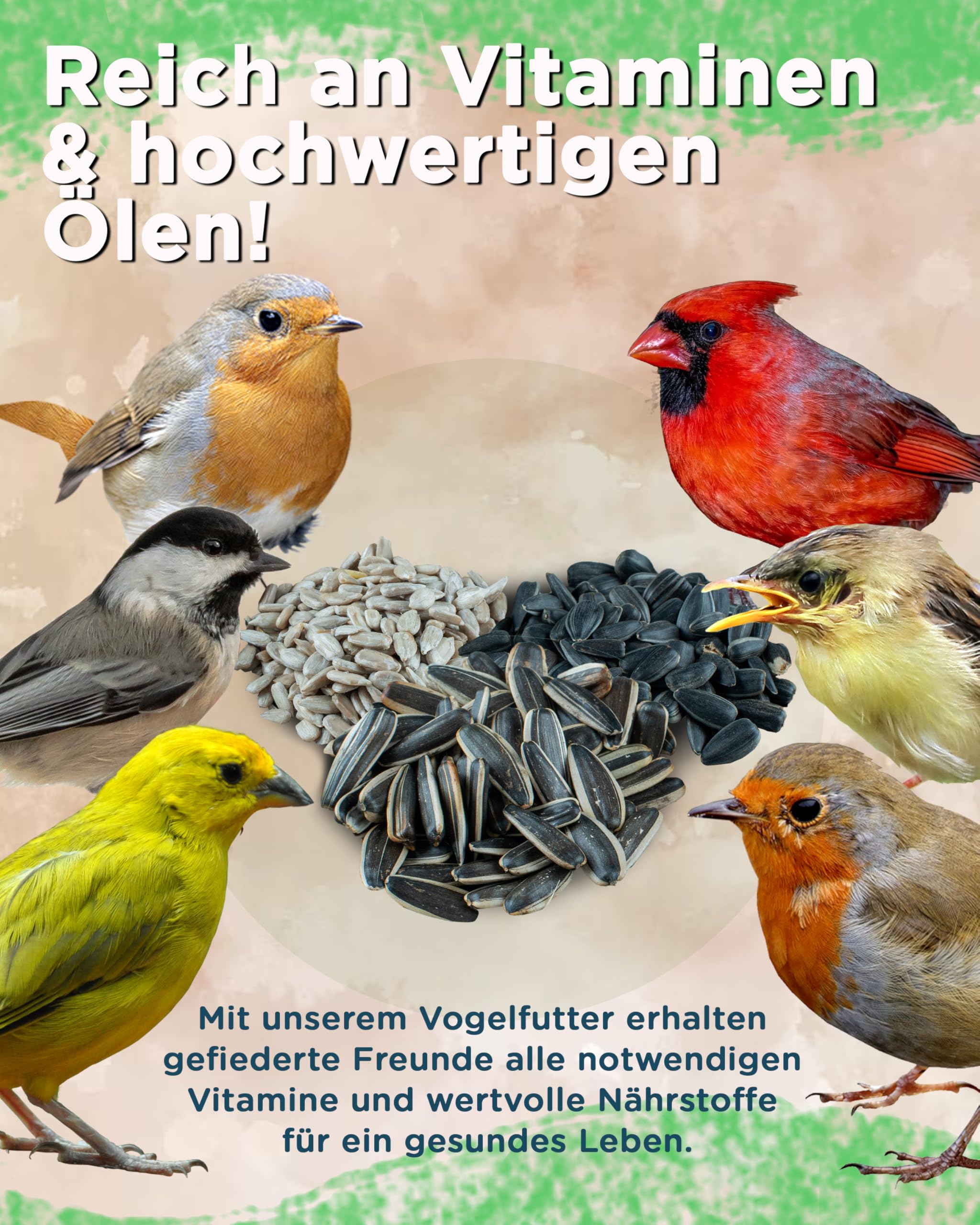Futterbauer 25 kg Schwarze Sonnenblumenkerne im Papiersack für Vögel, 100% Natur, Hochwertige Energiequelle für Wildvögel, Hoher Fett- & Vitamin-E-Gehalt, Gereinigt & Getrocknet mit Schale, Ernte 2025