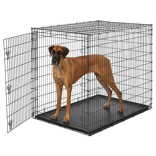 Midwest Homes for Pets Ginormous Single Door 54-Inch Dog Crate for XXL Dogs Breeds; Great Dane, Mastiff, St. Bernard, Drop Pin Assembly Requires Two People; Divider Panel Not Included; Black: SL54 - 54.0"L x 37.0"W x 45.0"H - Black