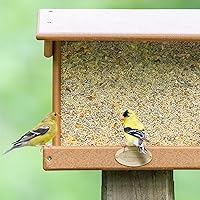 Vista 8 de Mañana canción limpio y libre