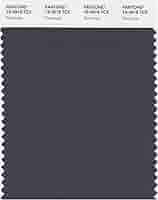 Amazon.com: Pantone 19-3918 TCX Smart Color Swatch Card