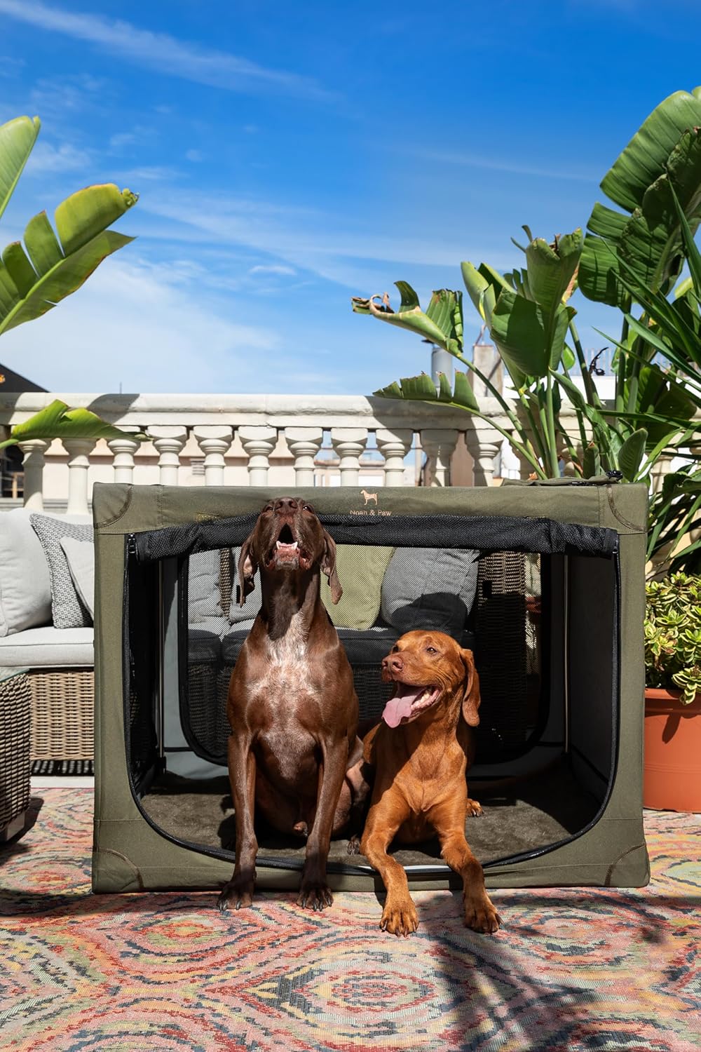 Noah & Paw Collapsible Dog Crate: The Ultimate Travel Solution for Large Breeds!