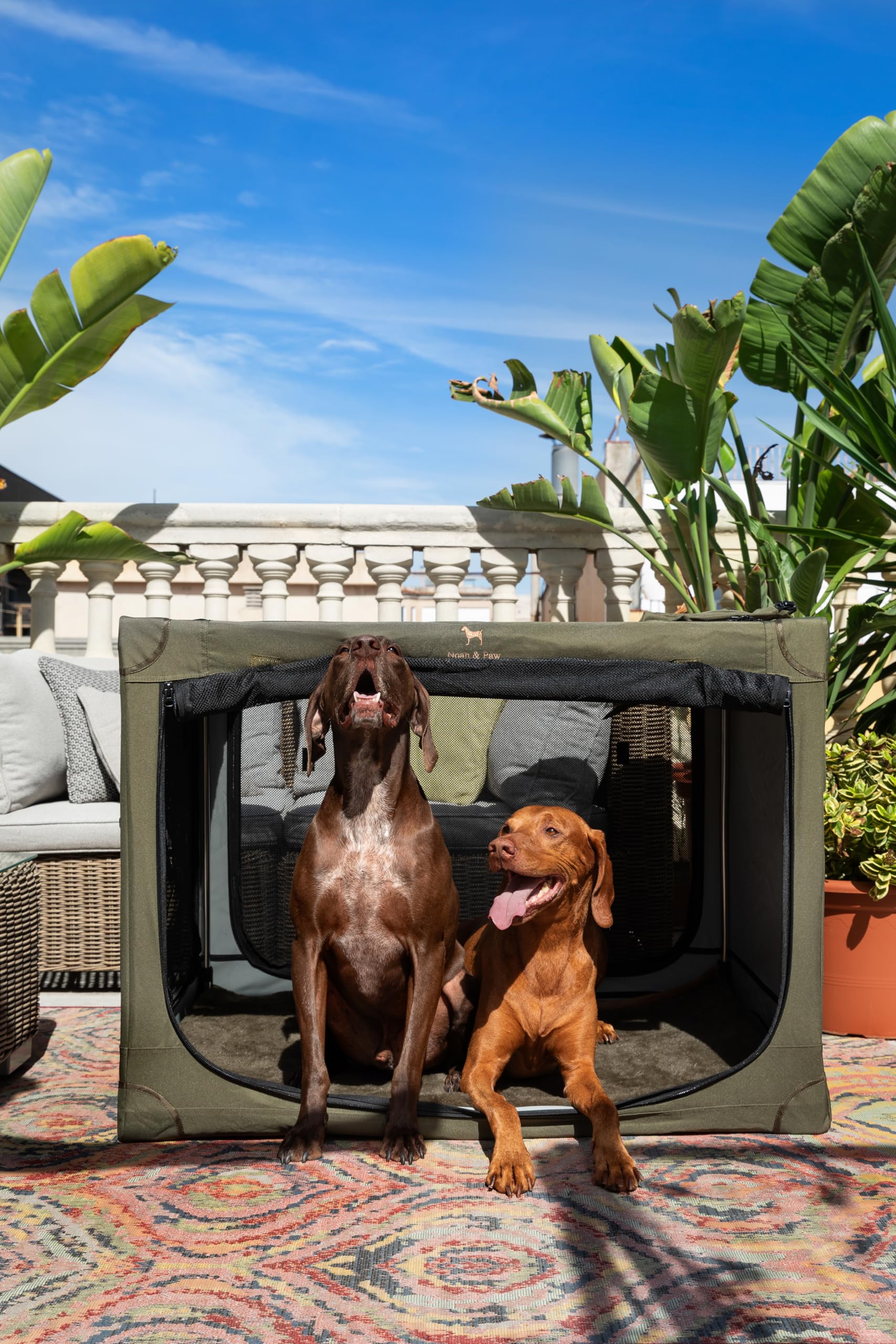Noah & Paw Gabbia pieghevole per cani 42", gabbia XXL per razze XL e grandi, trasportino auto, tappetino incluso, 2 tasche, borsa, cerniere 10 mm 42x31x31
