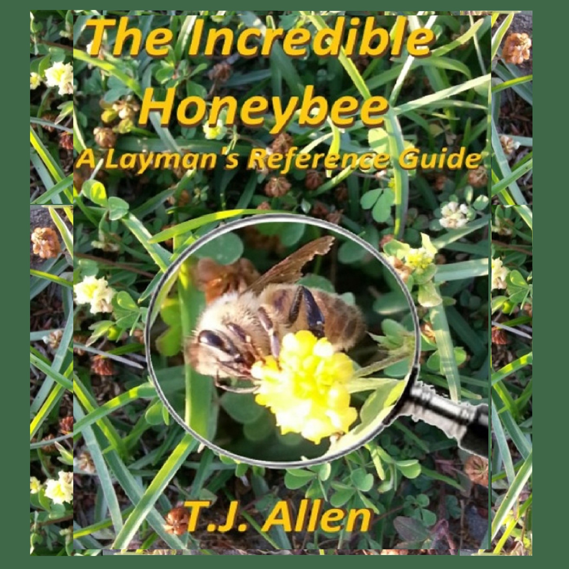 Cover art for The Incredible Honeybee