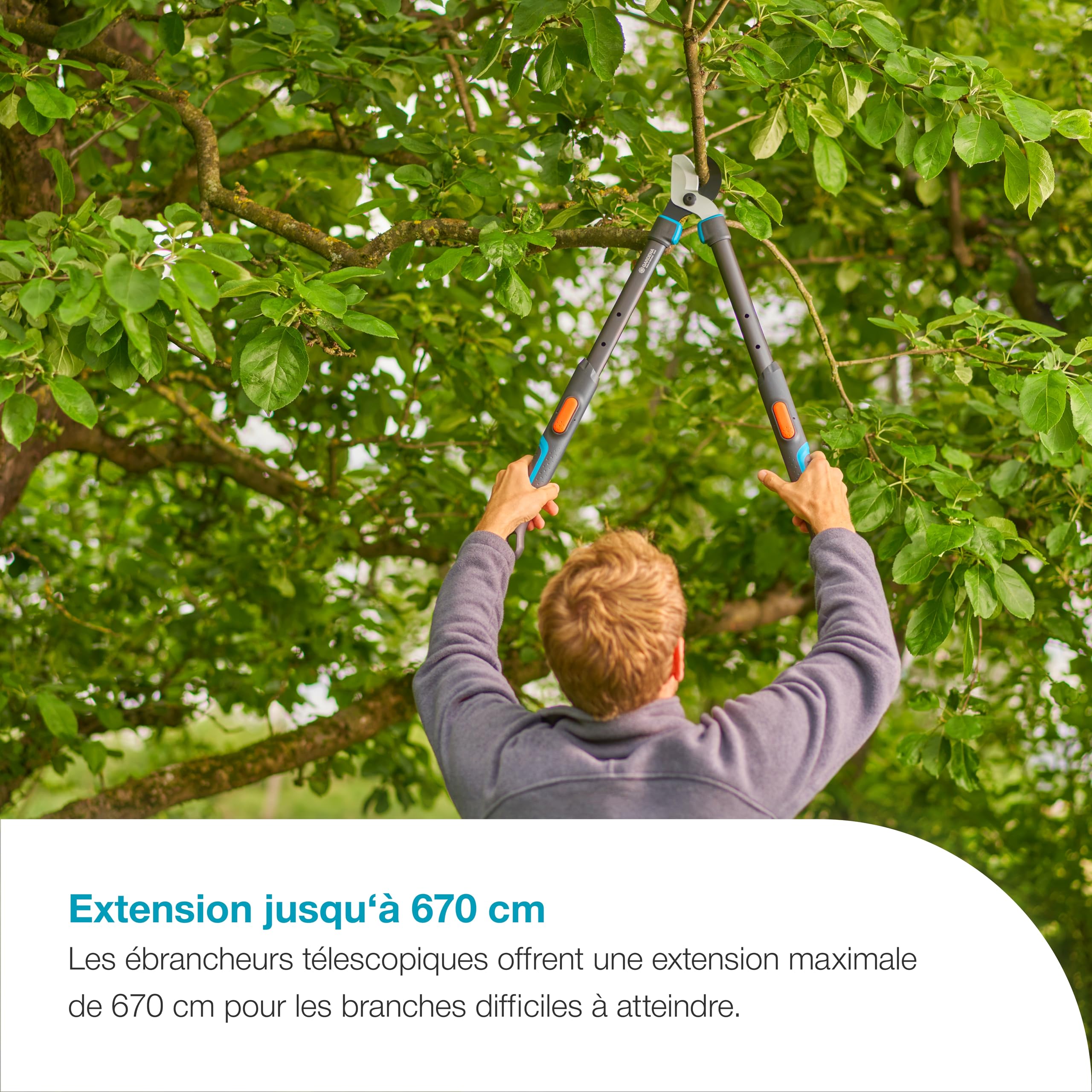 Gardena Cisaille à branches TeleCut Pro S: cisaille à branches télescopique pour bois frais jusqu'à 50 mm, extensible jusqu'à 670 mm, lames affûtées avec précision (12040-88)