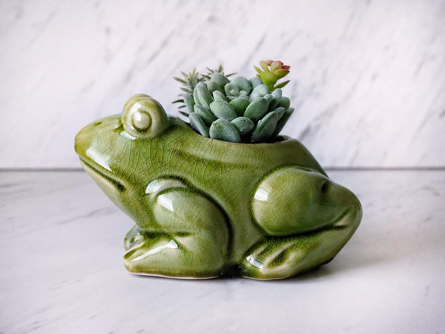ceramic frog pot with faux flowers