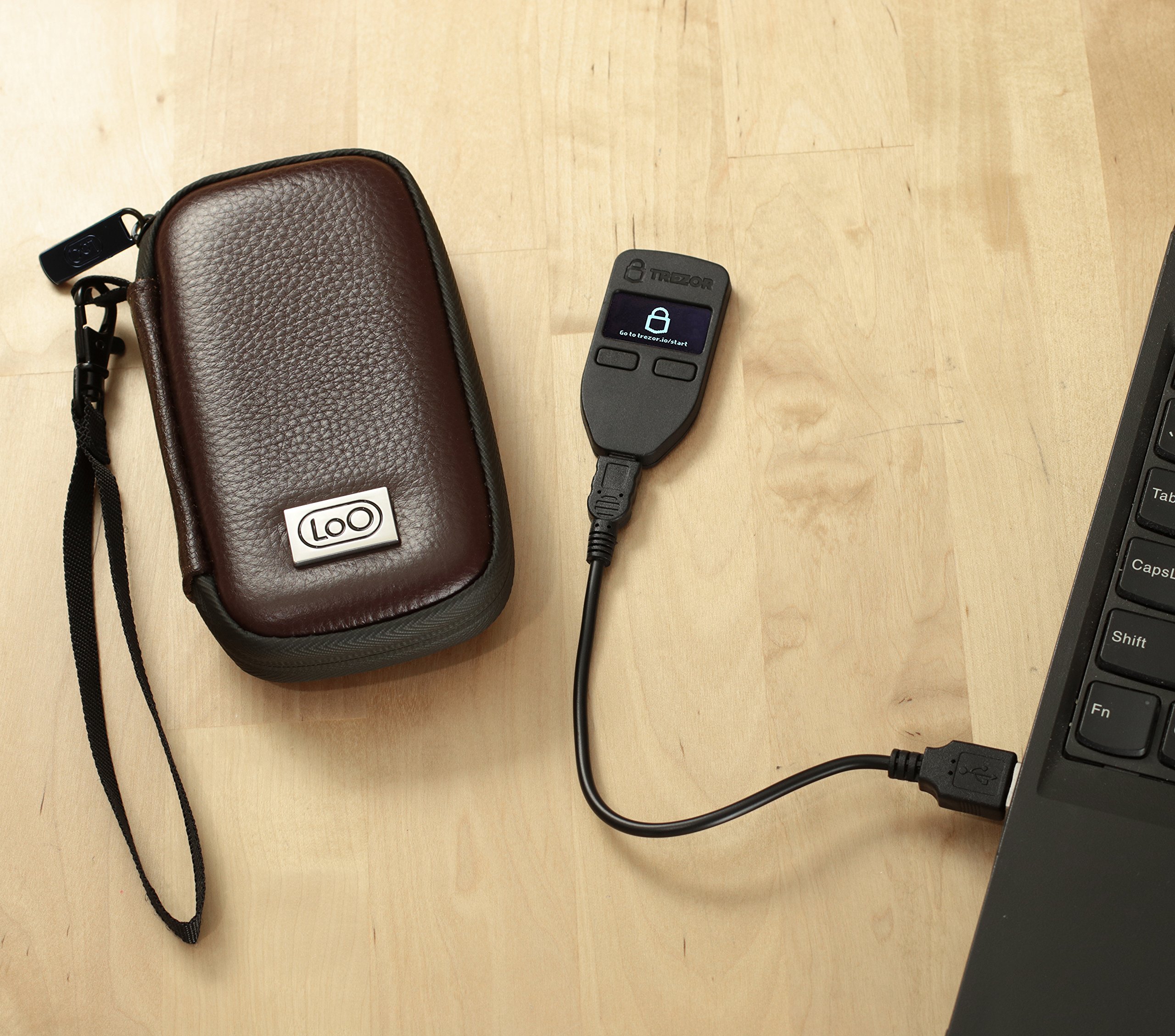 Amazon.com: Billetera Bitcoin, billetera Litecoin y cartera criptográfica  para Trezor: funda de hardware para criptomonedas y accesorios de viaje –  Funda protectora para almacenamiento de Bitcoin (cuero marrón) : Electrónica