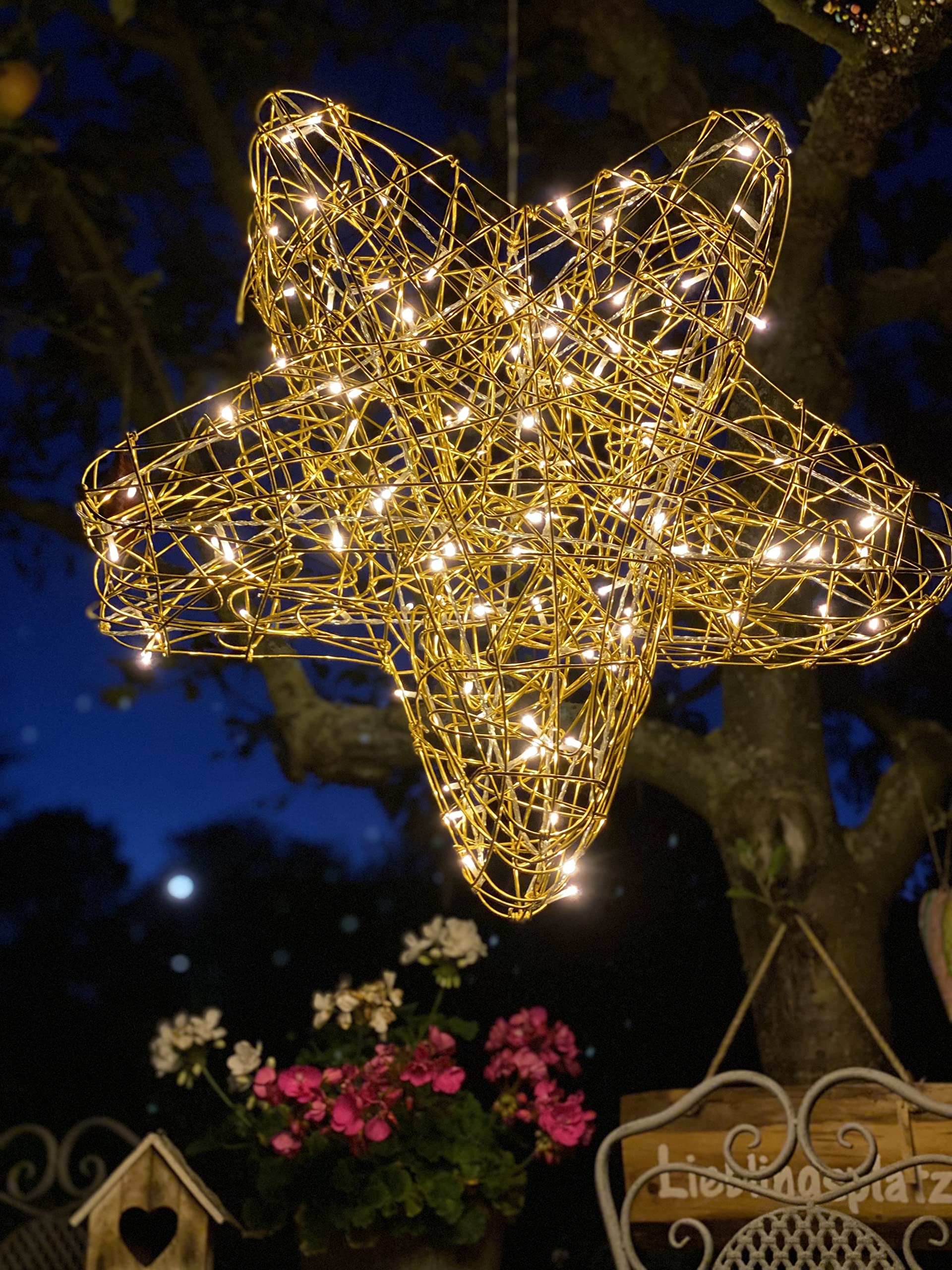 STAR TRADING LED-Stern Galax Star Weihnachtsdeko Drahtgeflecht gold warmweiß 60 cm