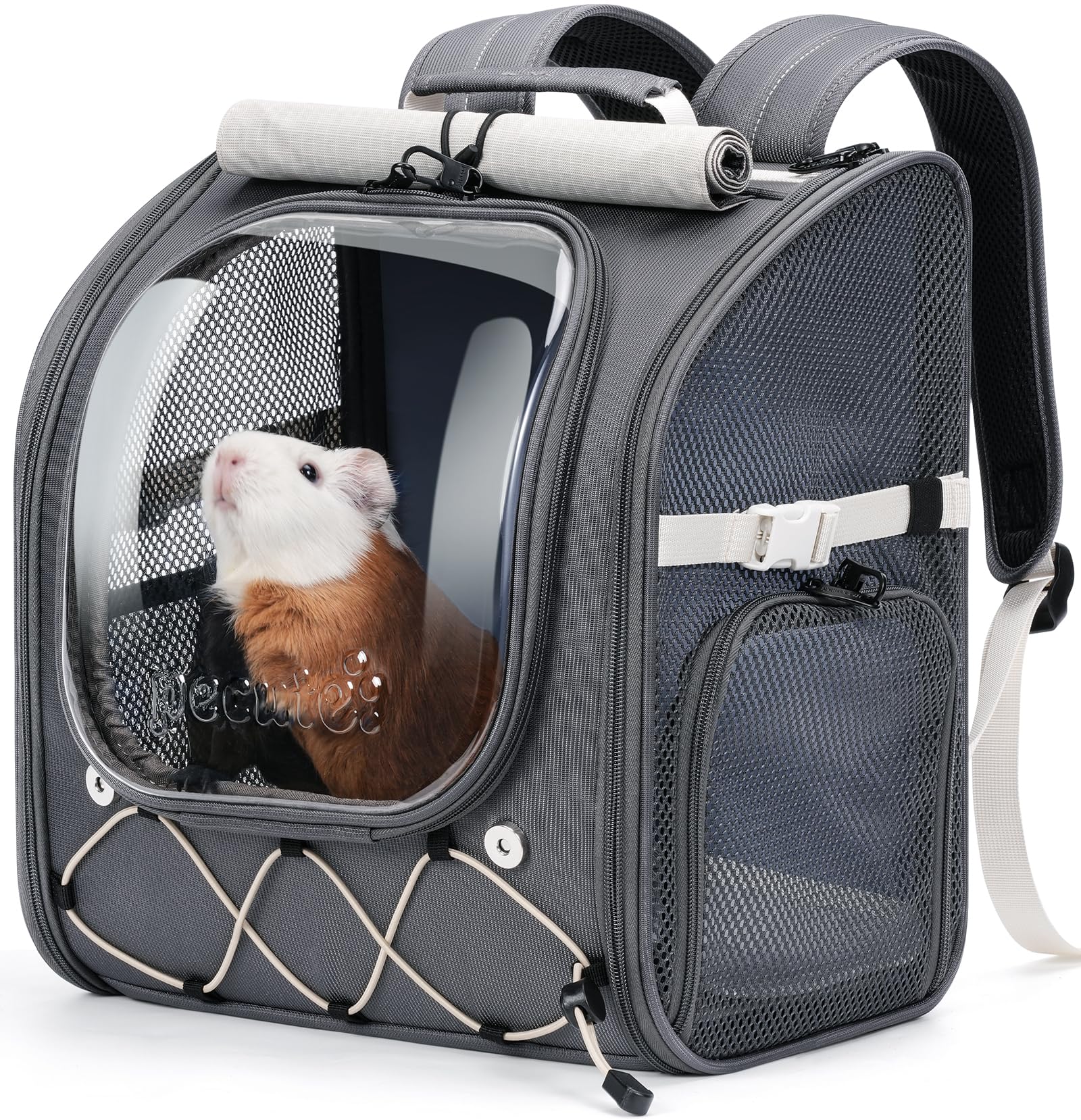pecute small pet carrier, breathable small animal carrier with transparent bubble & steel frame, safety lock for hamster, rabbit, bearded dragon, guinea pig, parrot, ideal for hiking, vet visits, gray