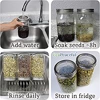 Vista 6 de Mason Jar Sprouting Lids - 316 Surgical Stainless Steel Sprouting Lids for Regular Mouth Mason Jars- Rust-Proof, BPA-free - Curved Mesh Lids for