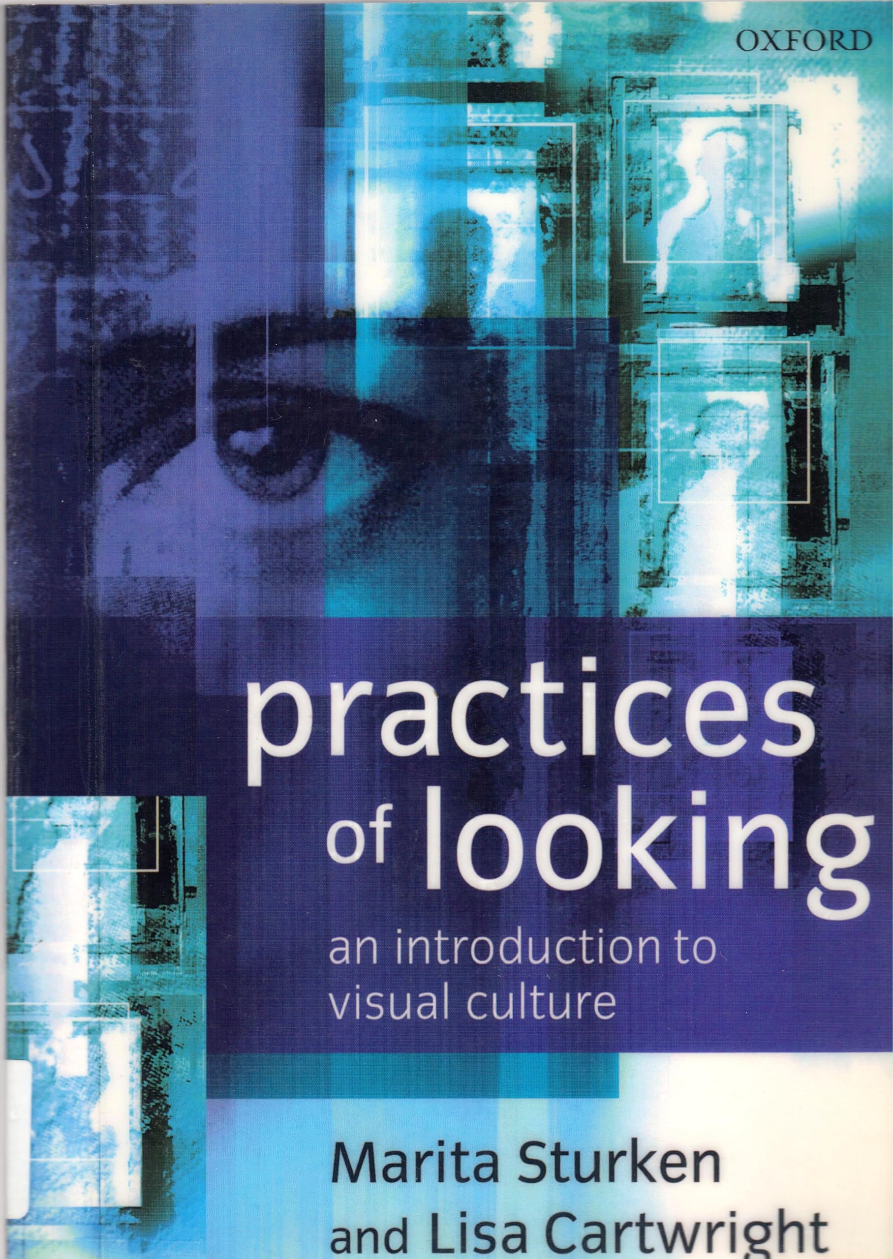 Practices of Looking: An Introduction to Visual Culture : Sturken ...