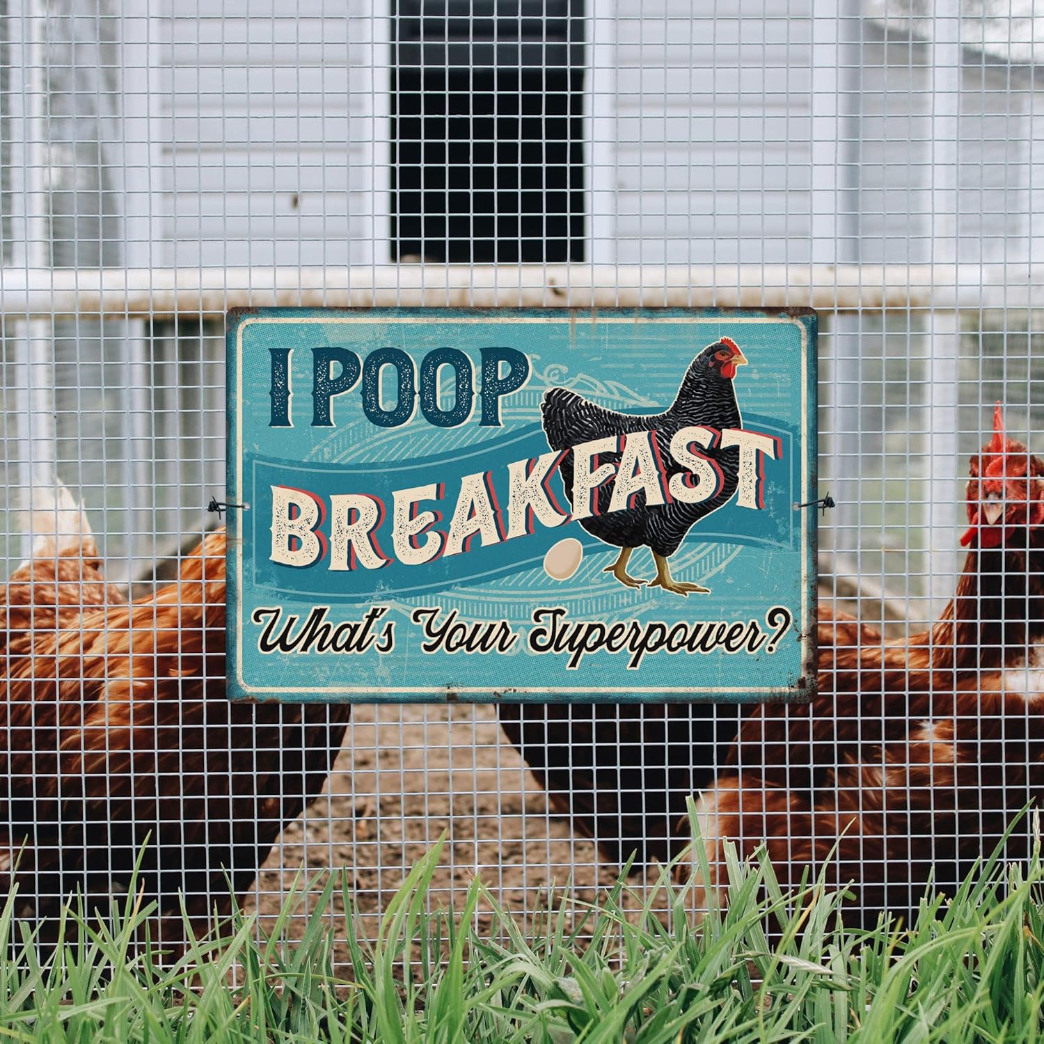 What's the best breakfast