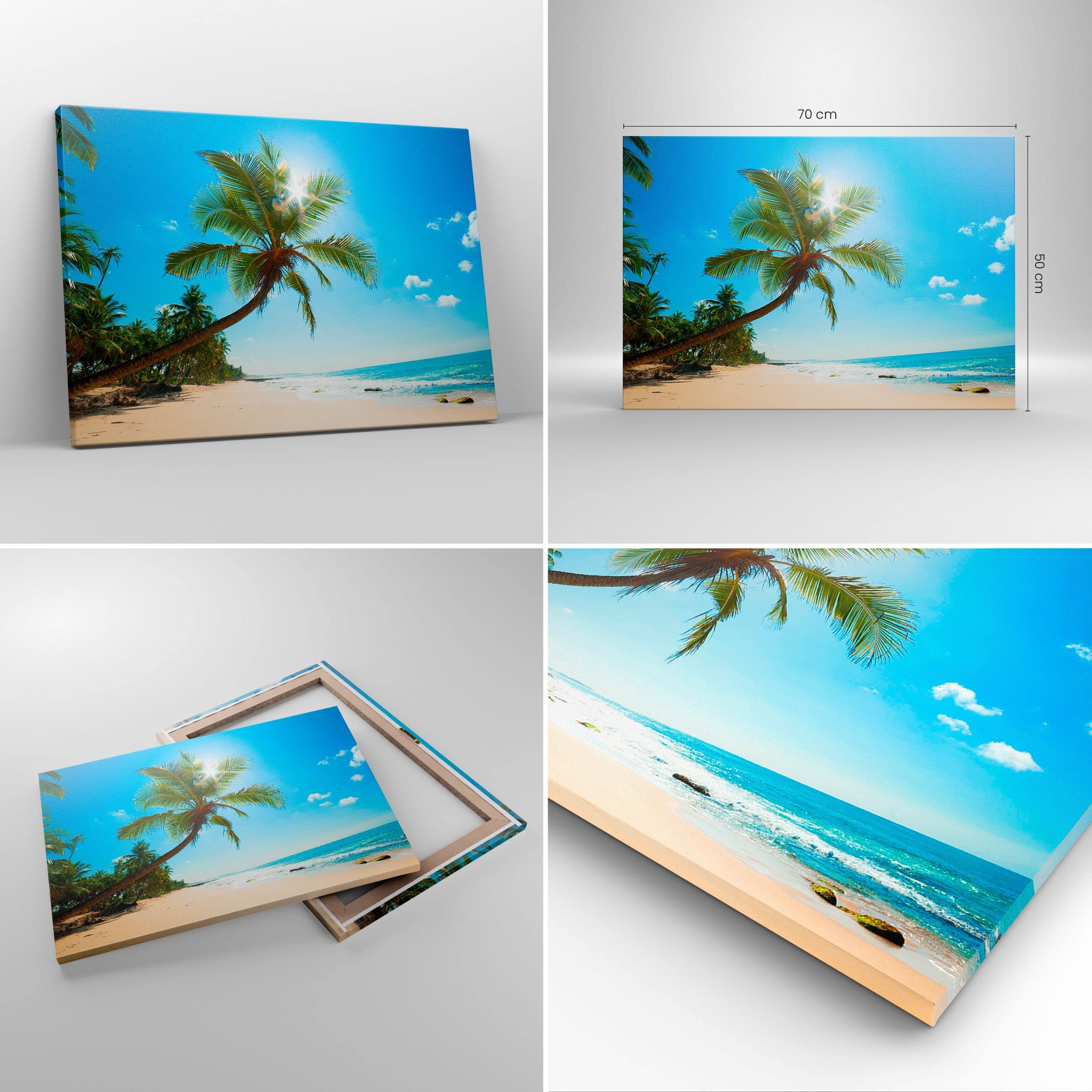 Impression sur verre Image tableaux 125x50 Paysage Mer Plage Palmier