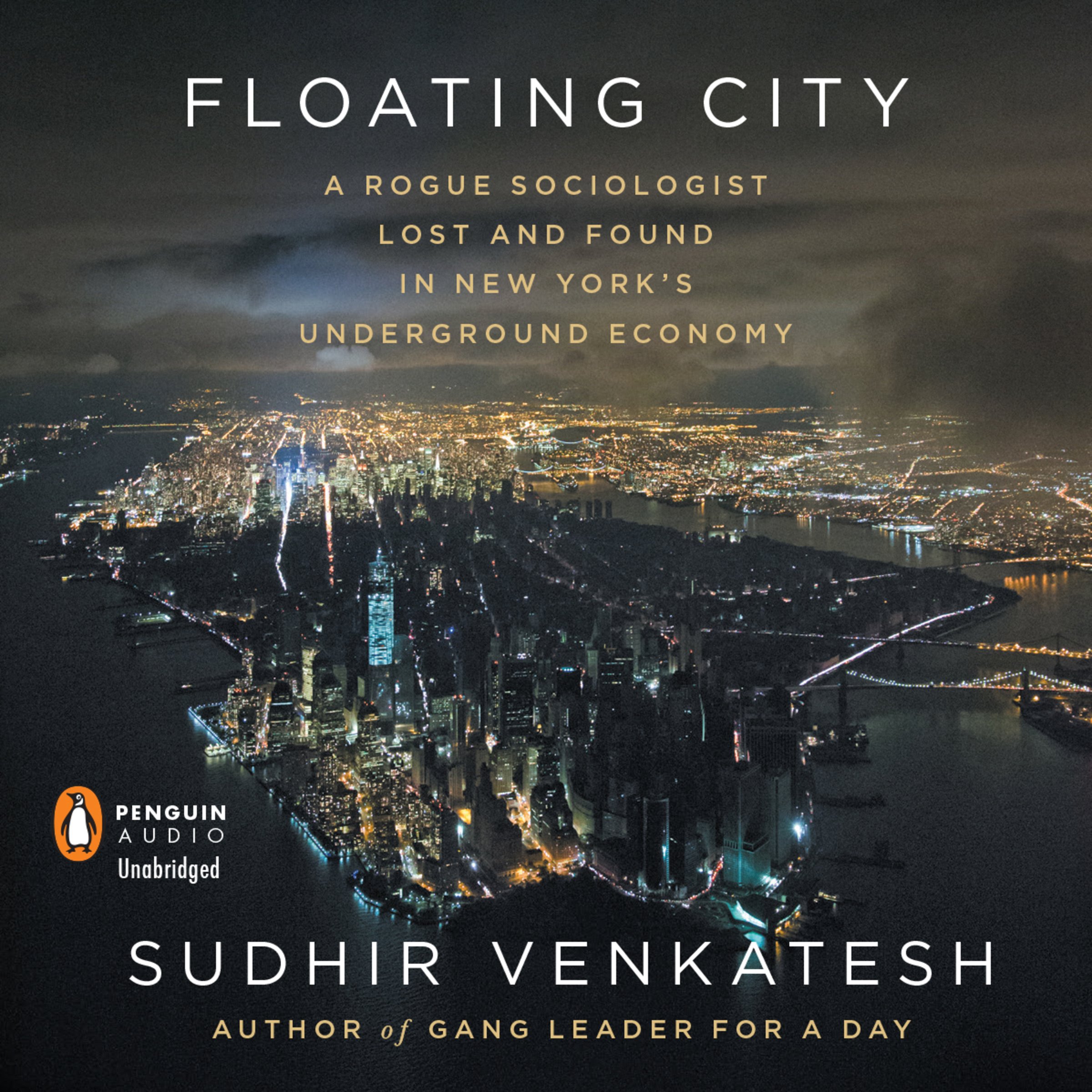 Cover art for Floating City