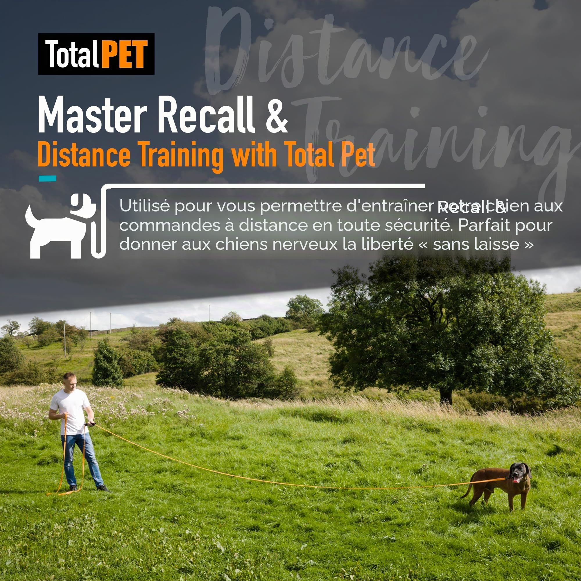 Total Pet Laisse de dressage pour chiens, longue ligne imperméable pour rappel et dressage d'obéissance – Laisse extra longue pour chien – Convient à toutes les tailles de chiens (10 m, clip standard)