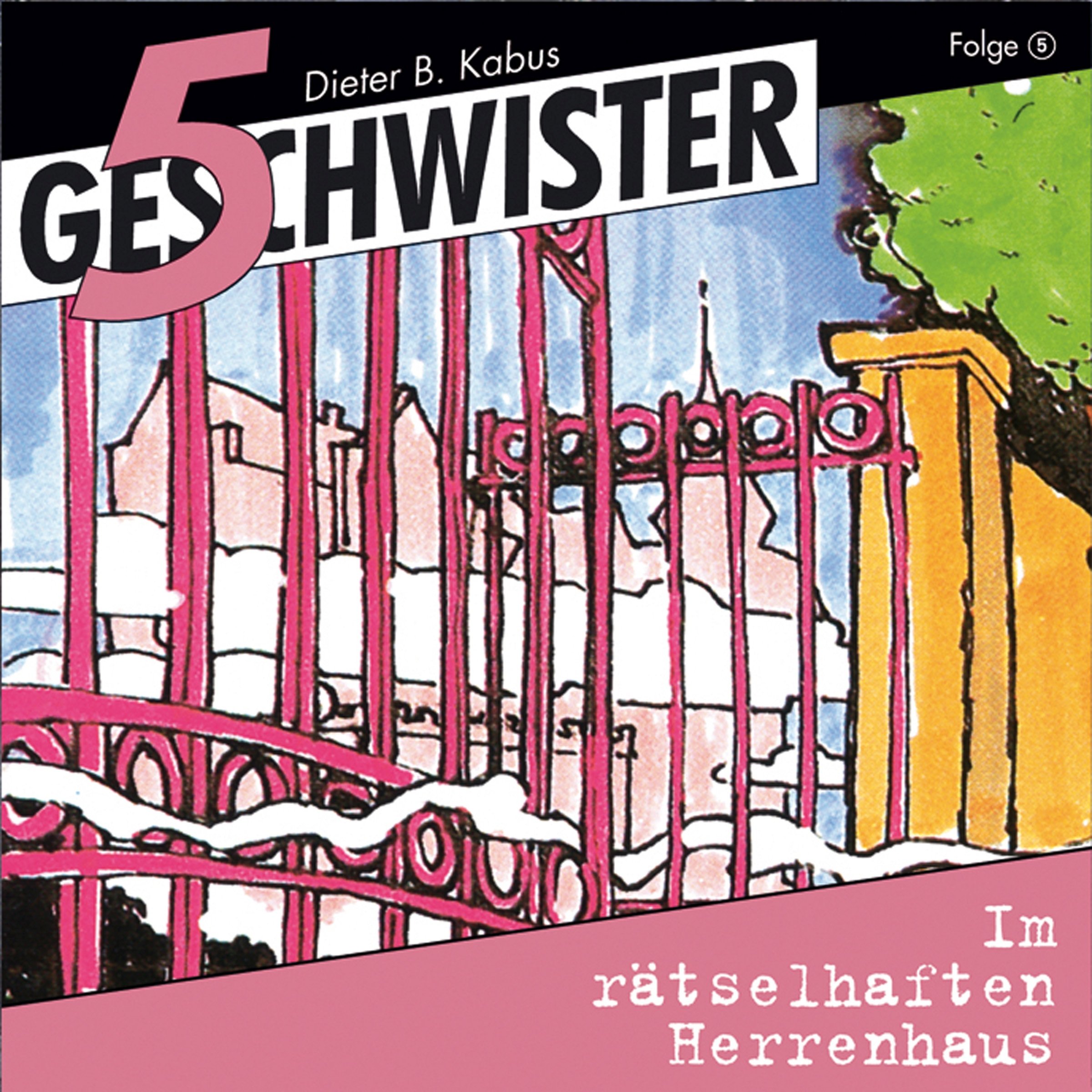 Cover art for Im rätselhaften Herrenhaus