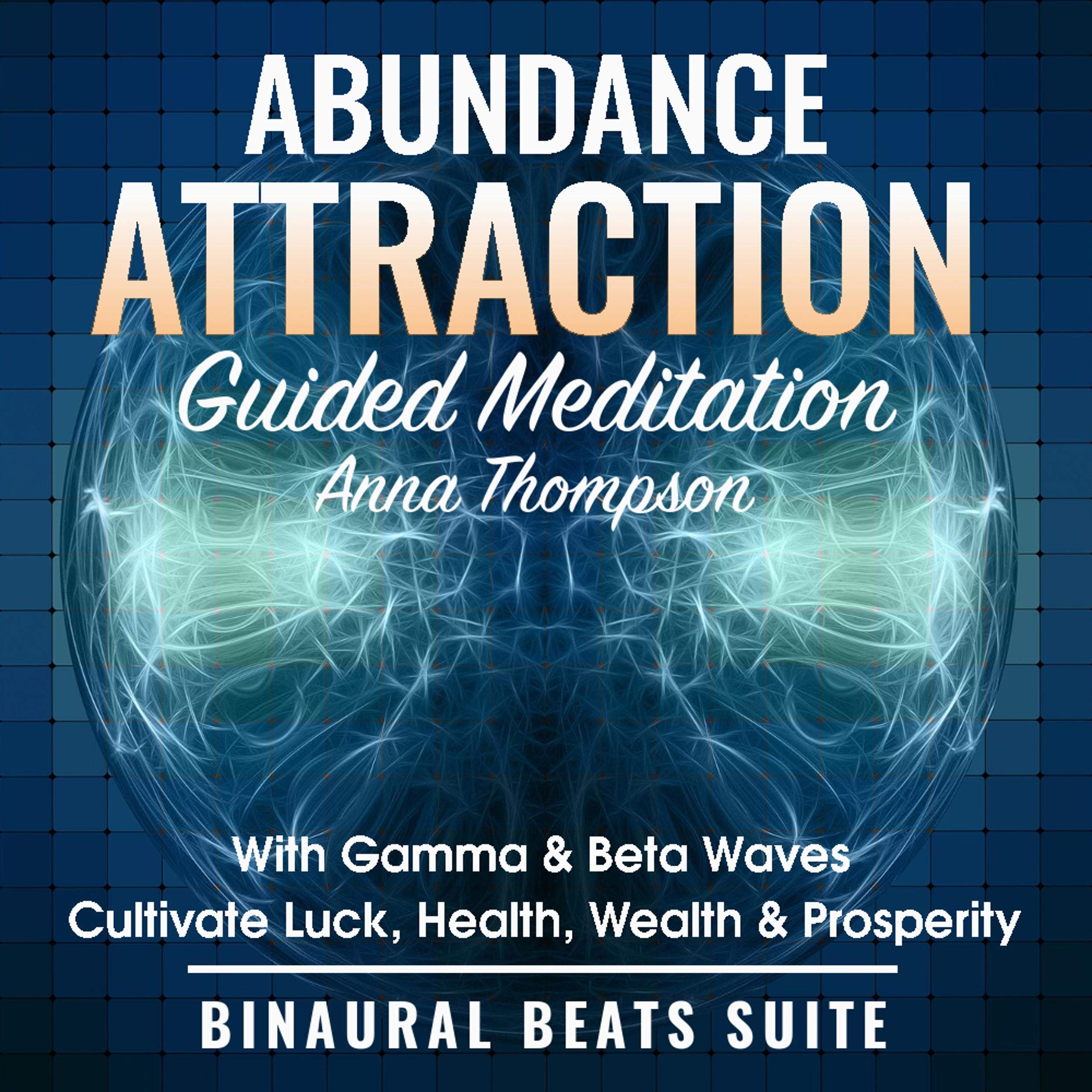 Abundance Attraction Guided Meditation with Gamma & Beta Waves